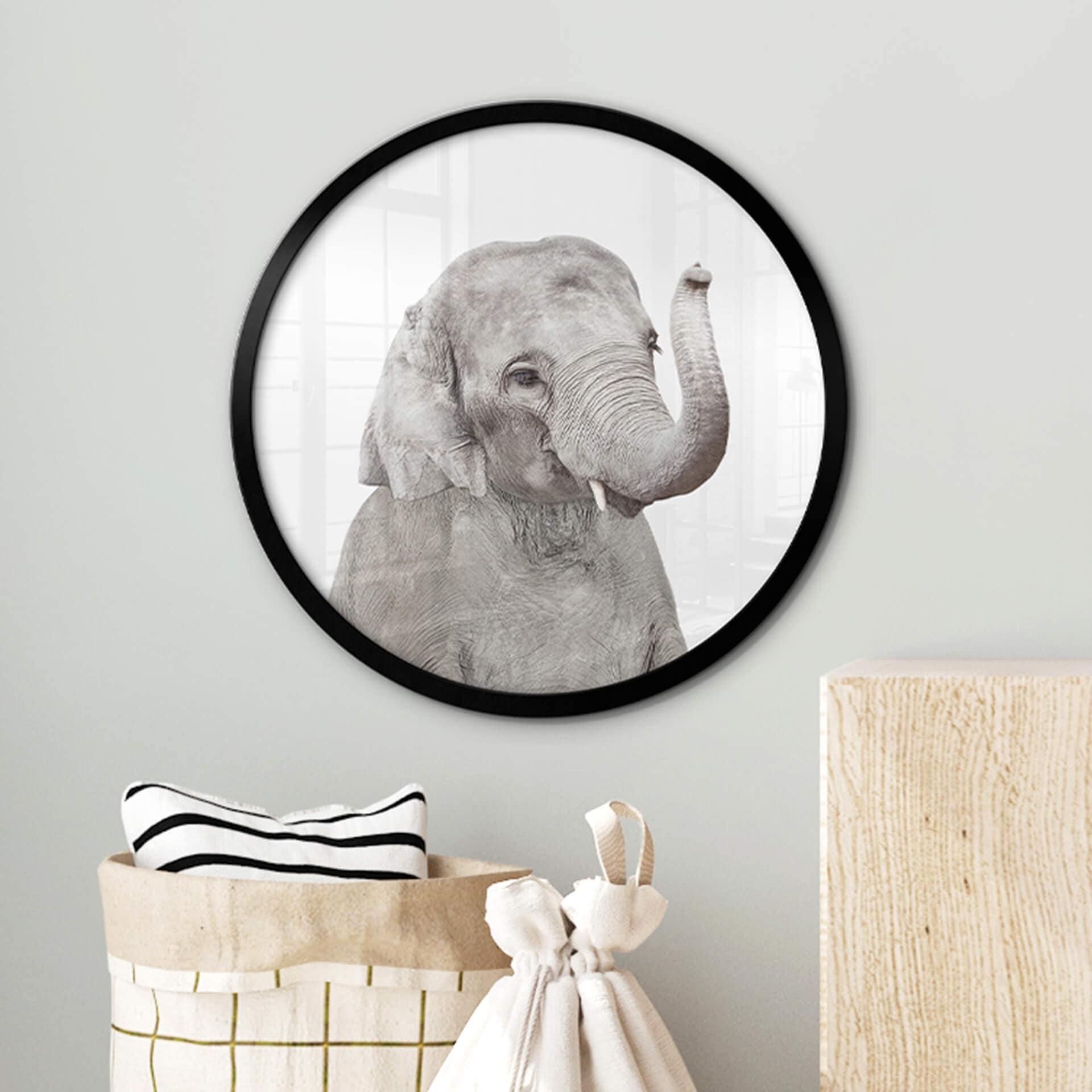 Póster Sisi & Seb - Elefante bebé - Redondo
