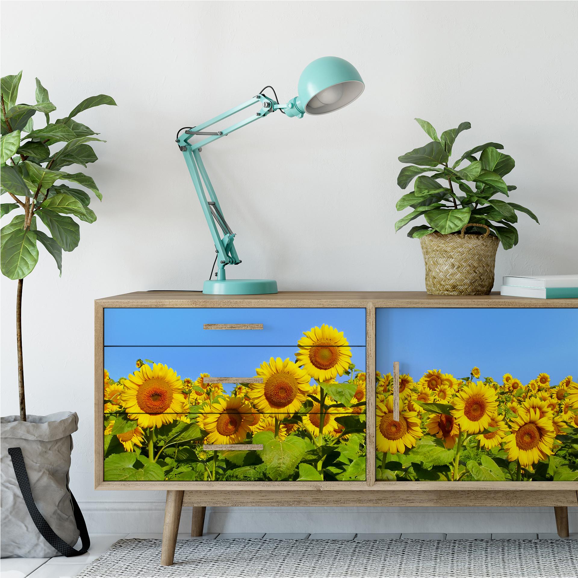 Muurprints Zonnebloemen - Panorama