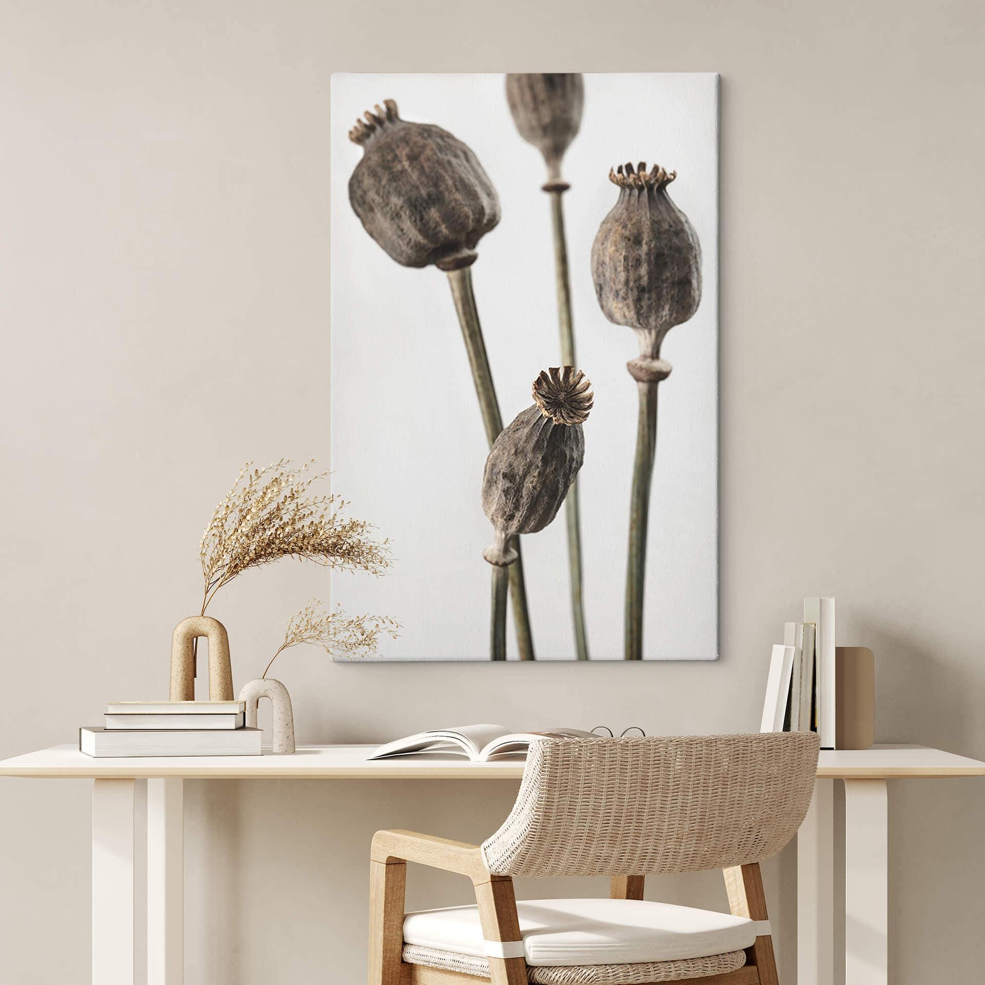 Lienzo 1X Estudio - Amapolas secas