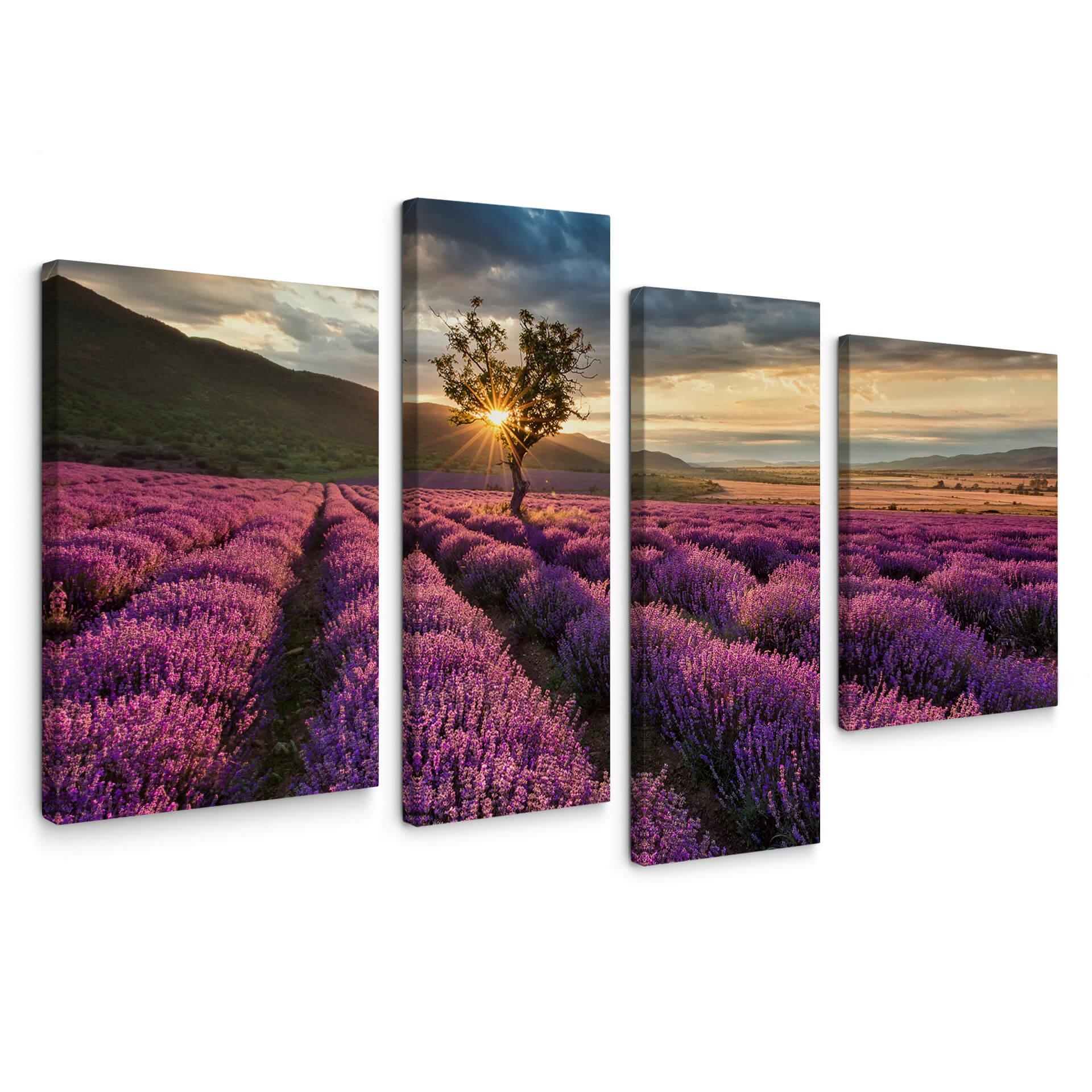 Leinwandbild Lavendelblüte in der Provence 4-teilig