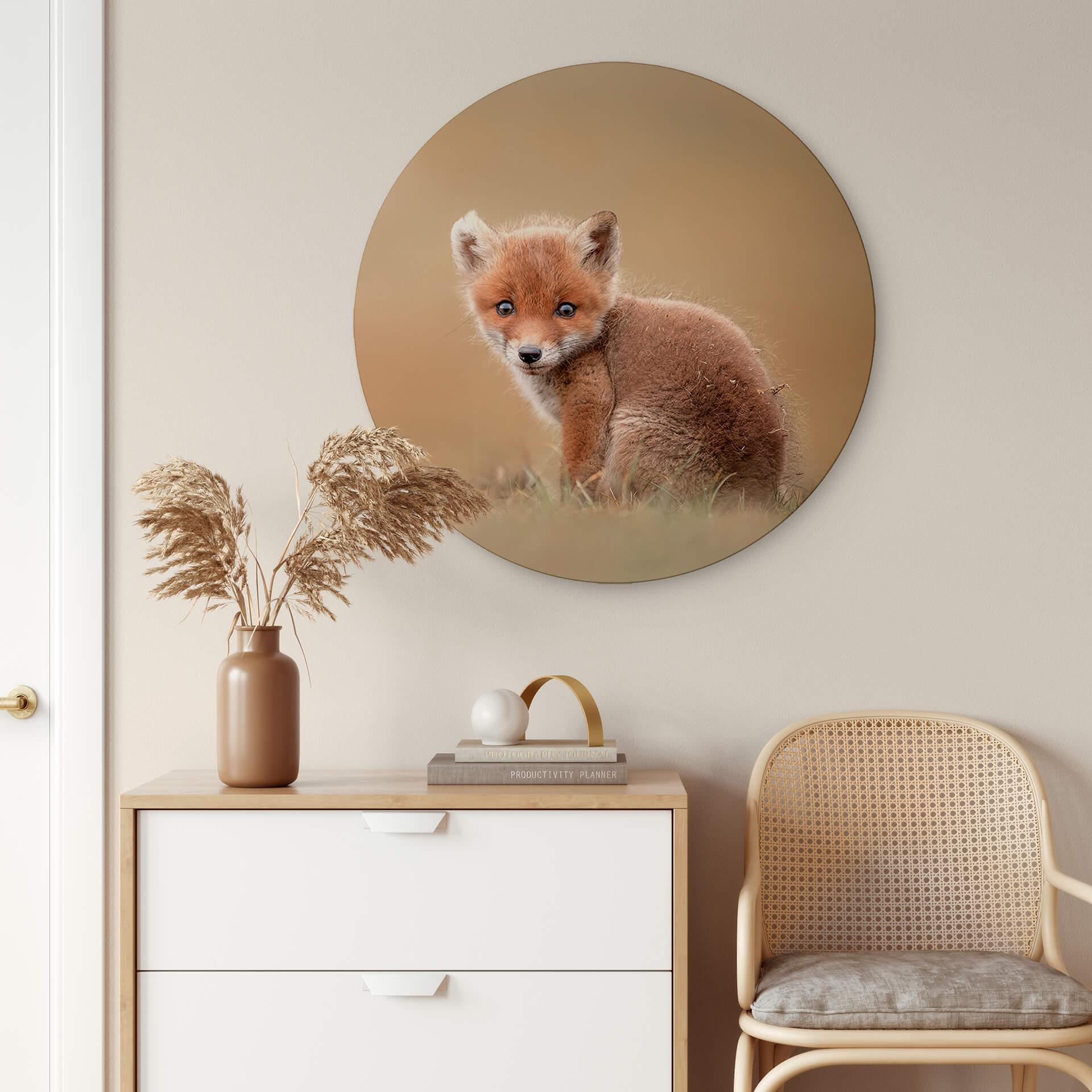 Wandcirkel van Duijn - Baby Fox