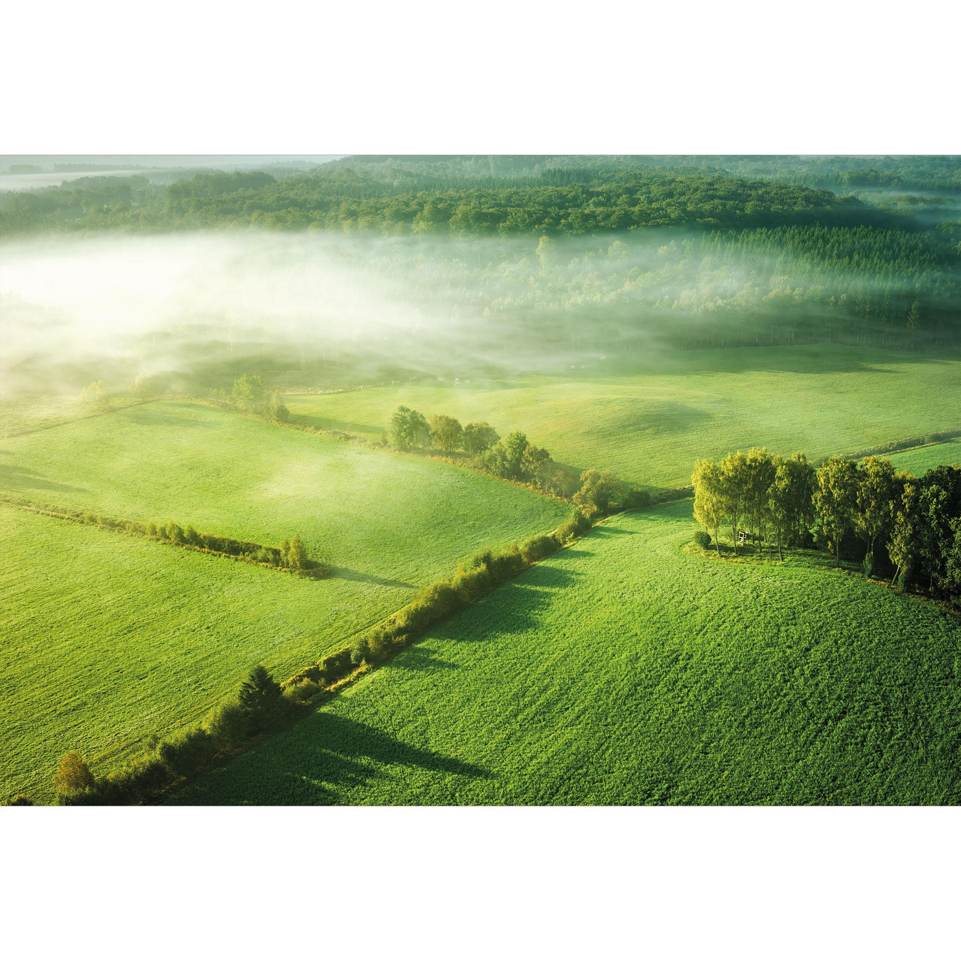 Papel pintado de Paisaje - Campos idílicos en la niebla | papel pintado salón - sótano