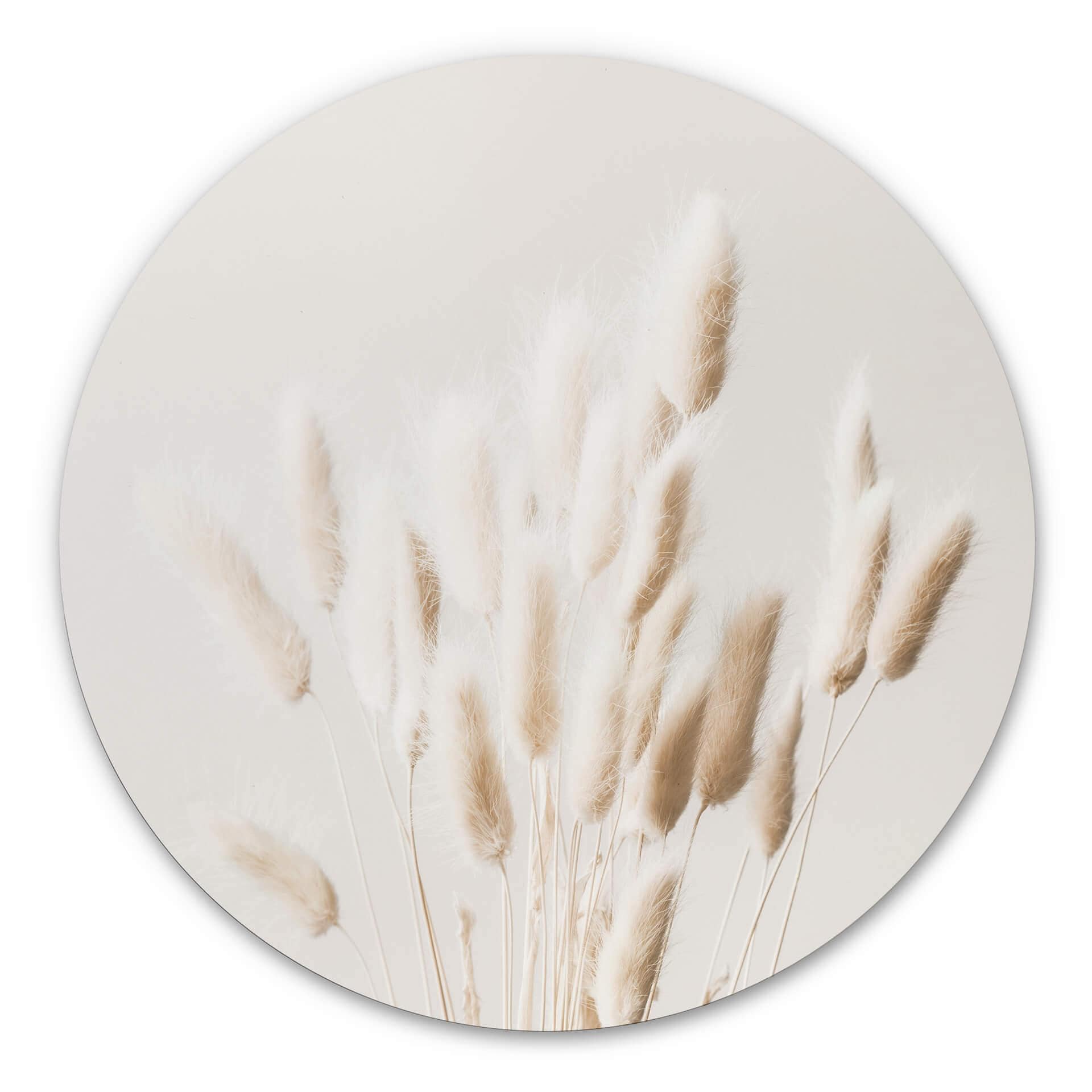 Tableau sur alu-Dibond 1X Studio - Herbes séchées - Rond