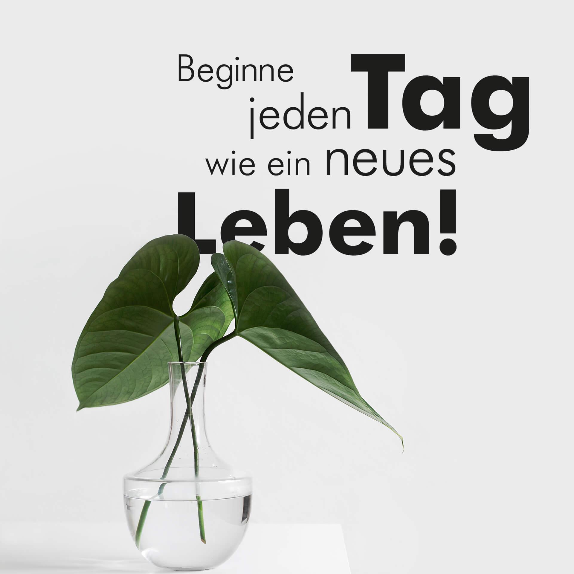 Wandtattoo Beginne jeden Tag 1