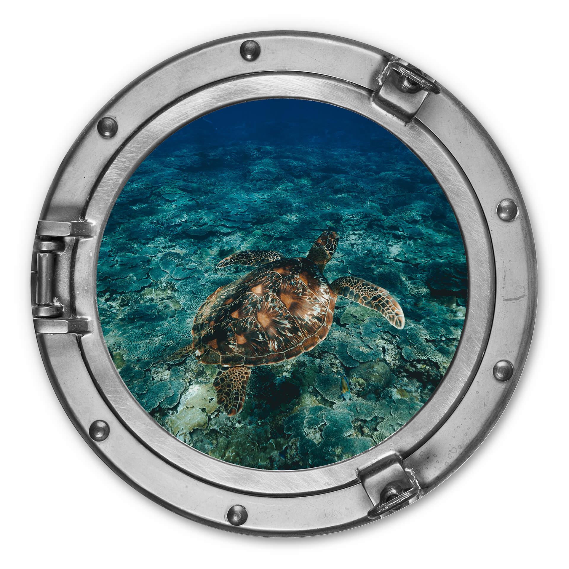 Wandcirkel Schildpad