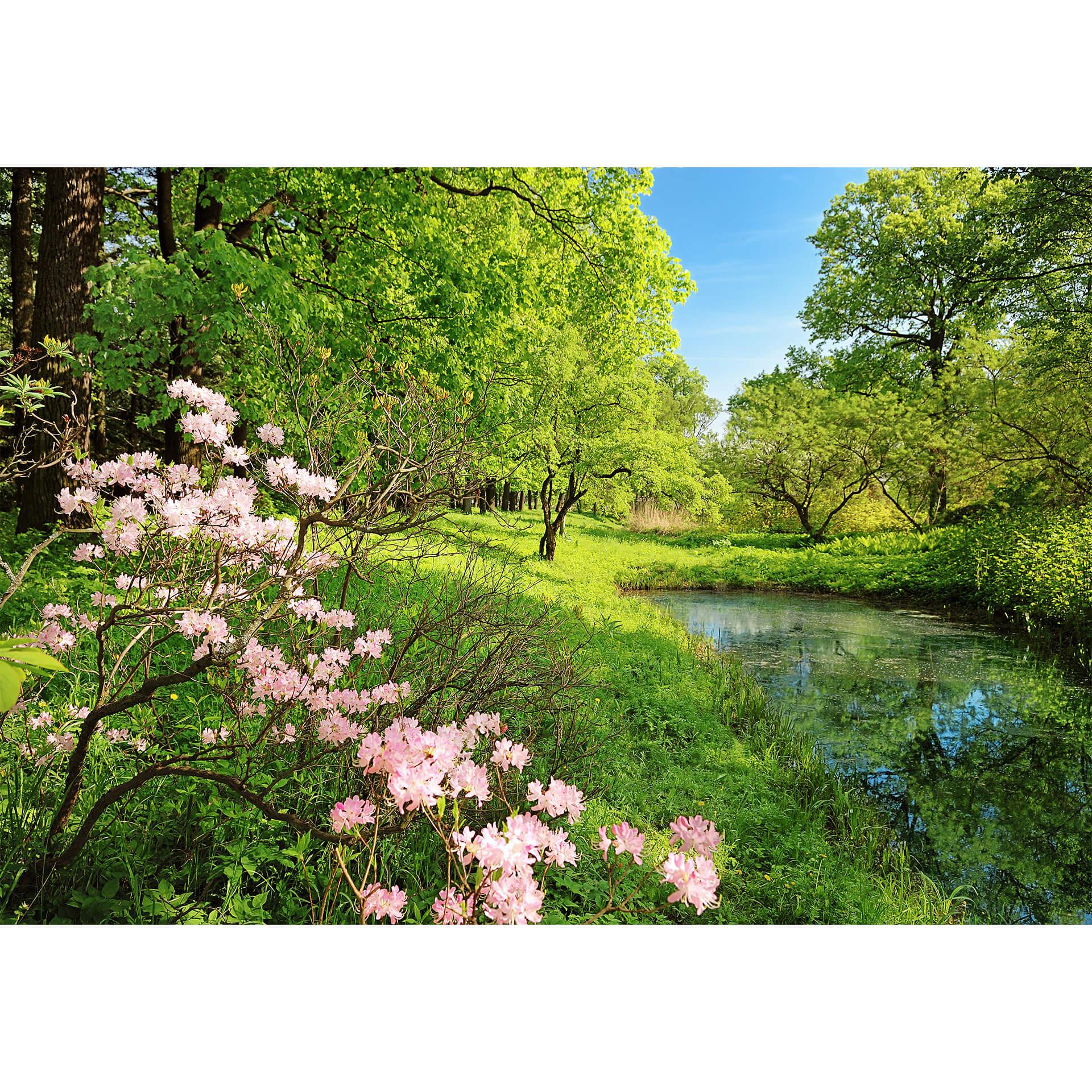 Fotobehang Papierbehang Park in de Lente - 366x254 cm