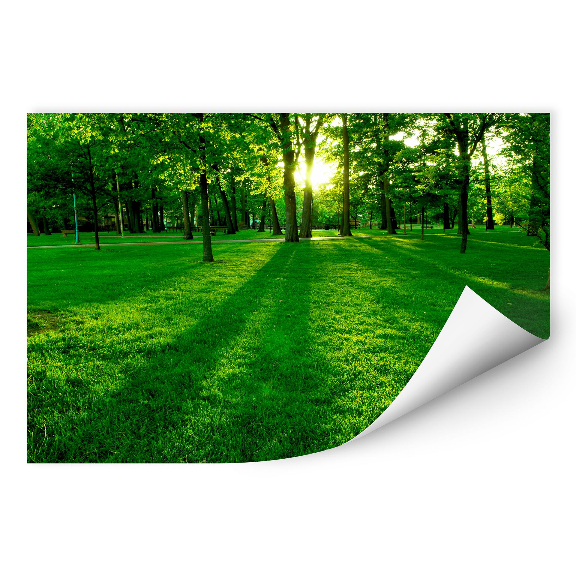Zelfklevende Poster  Park in het groen