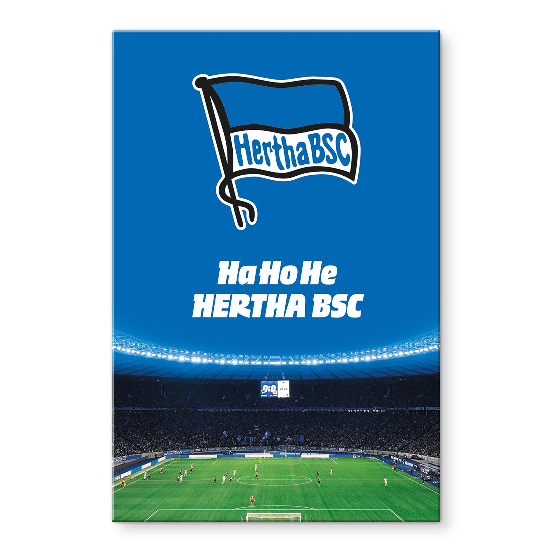 Akrylbillede Hertha BSC - HaHoHe