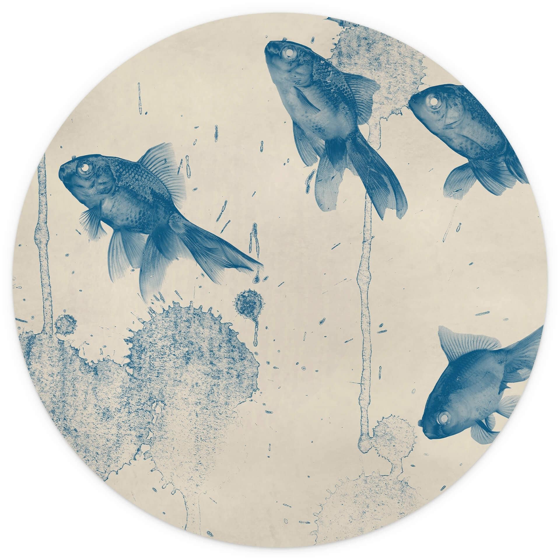 Behangcirkel Blue Fish - vliesbehang/zelfklevend vliesbehang