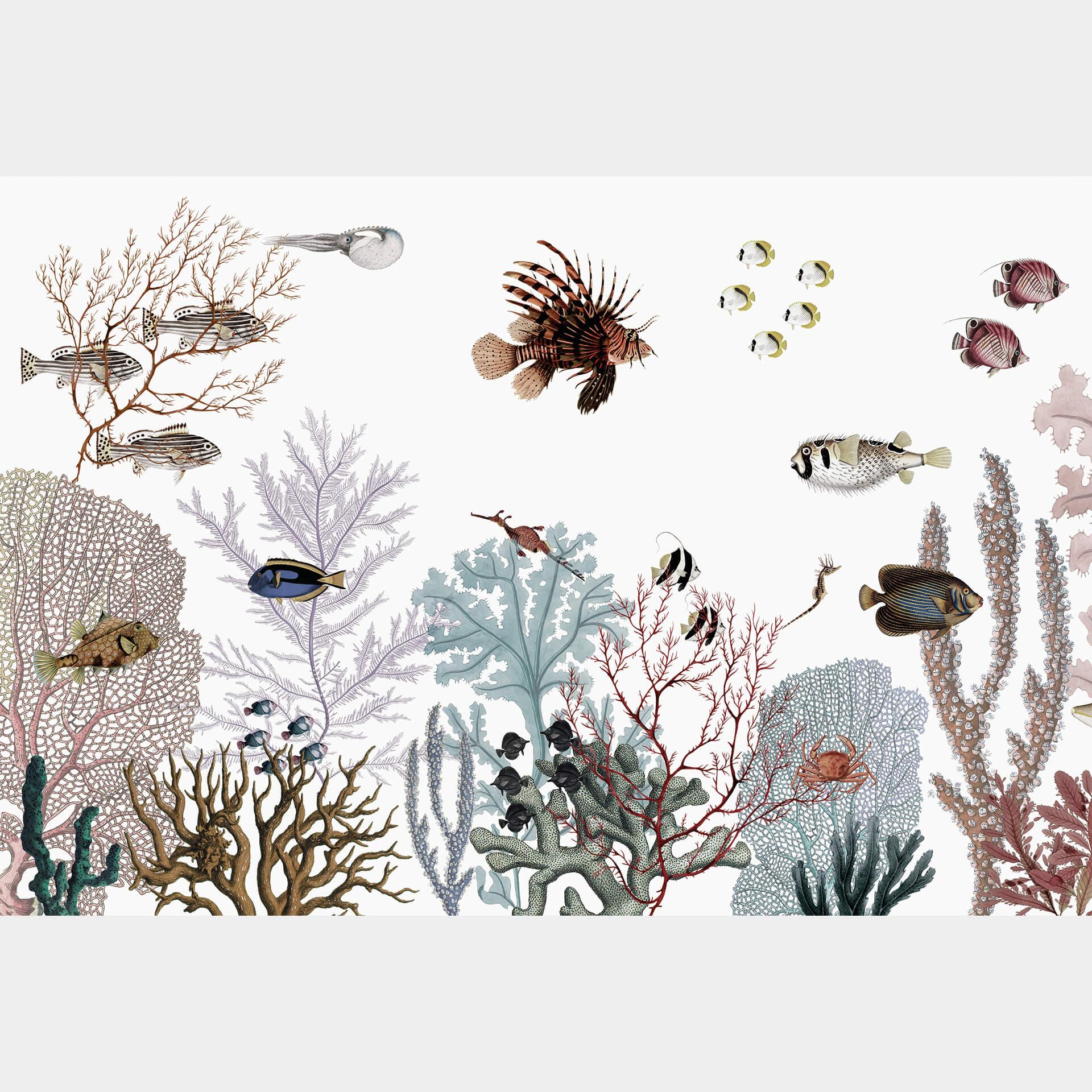 Fotobehang Sir Edward - Thundering Reef