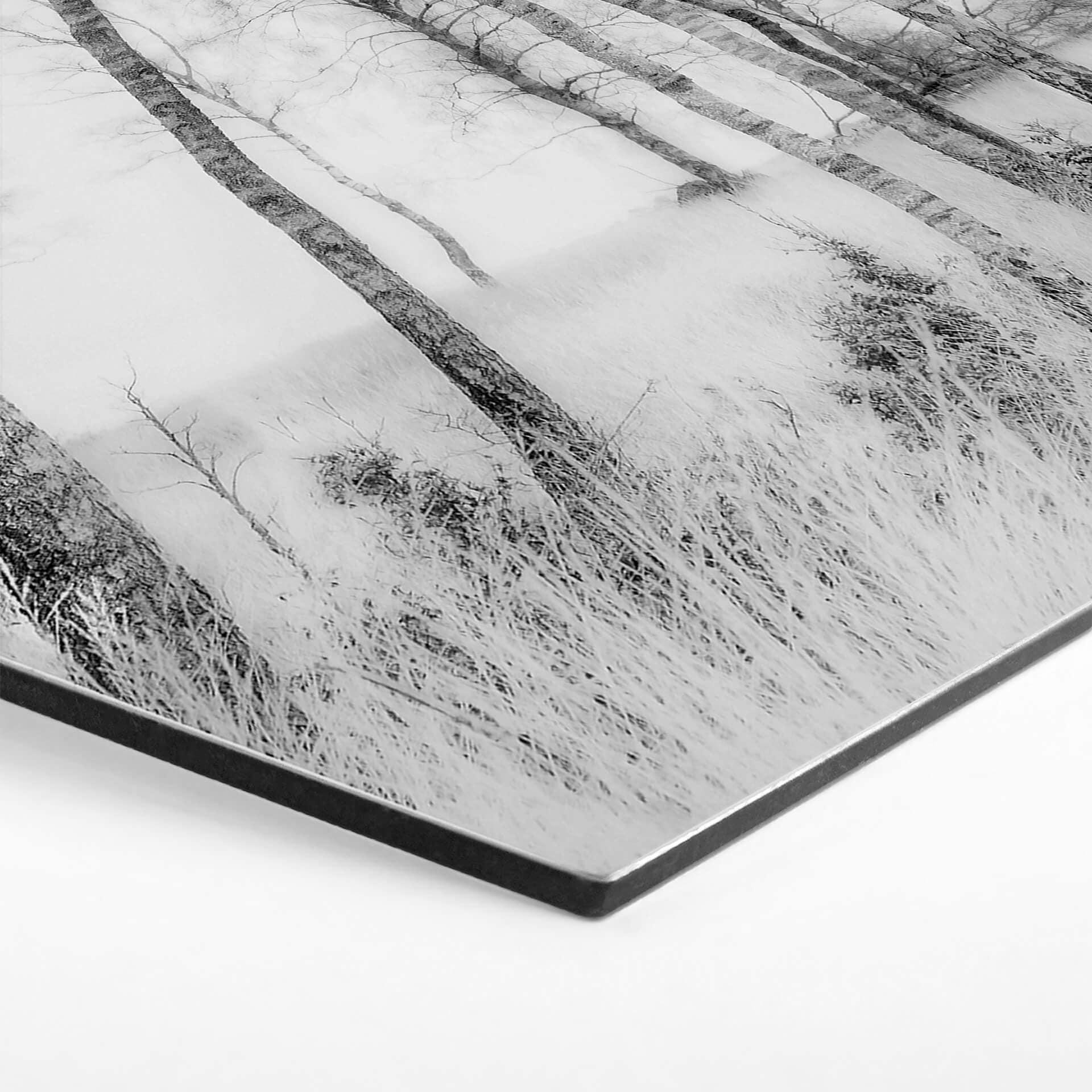 Esagoni Alu-Dibond Talen - Betulle