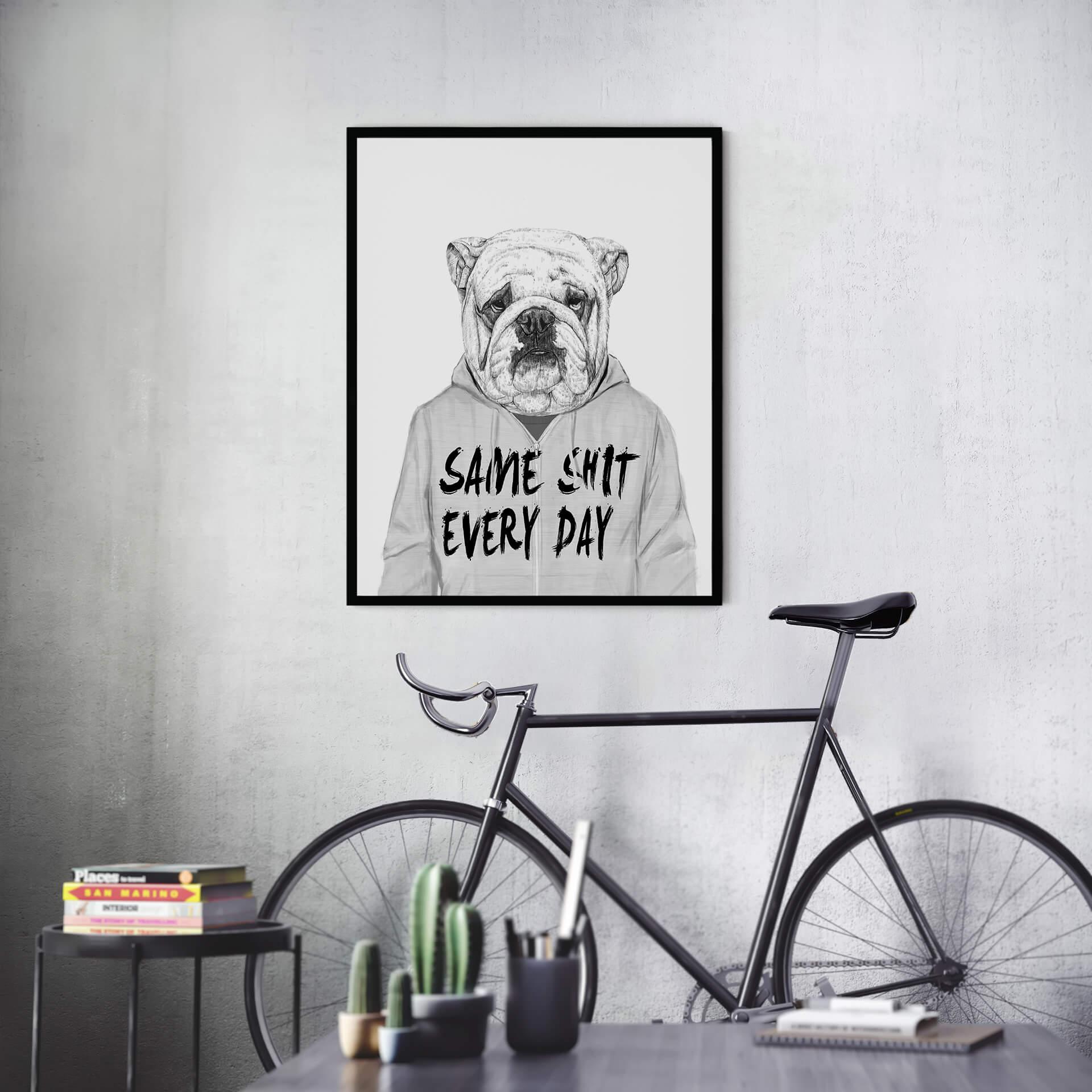 Plakat Solti - zirytowany buldog