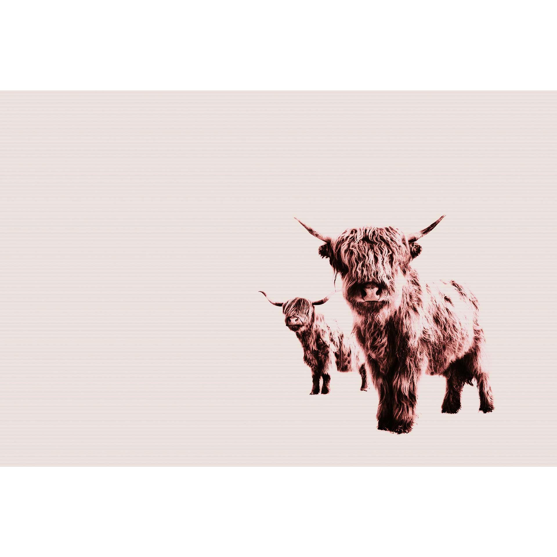 Livingwalls papier peint photo ARTist Highland Cows