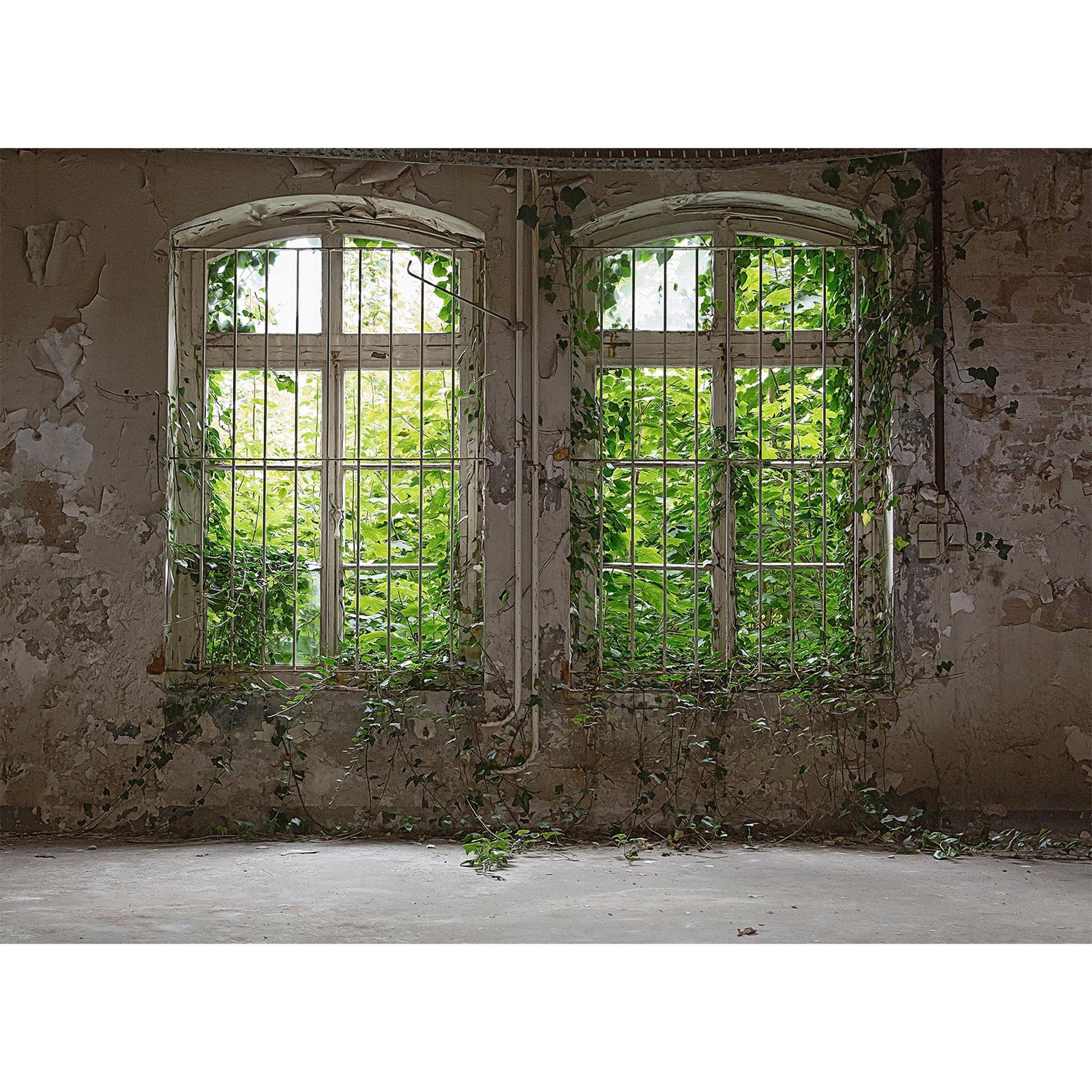 Livingwalls Fotobehang Designwalls Old Window