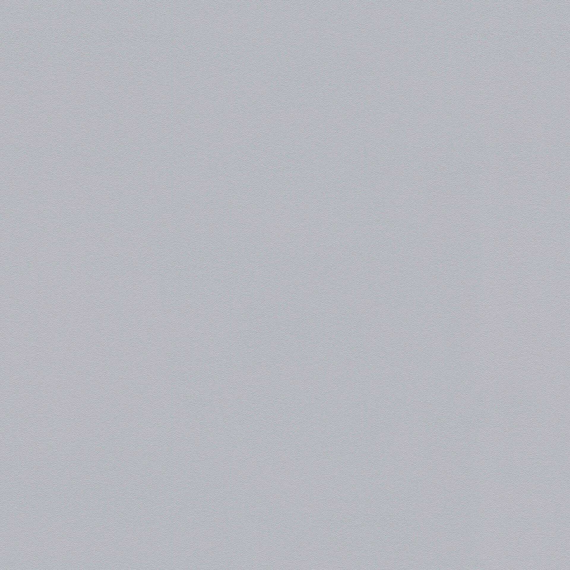 A.S. Création behang Björn grijs