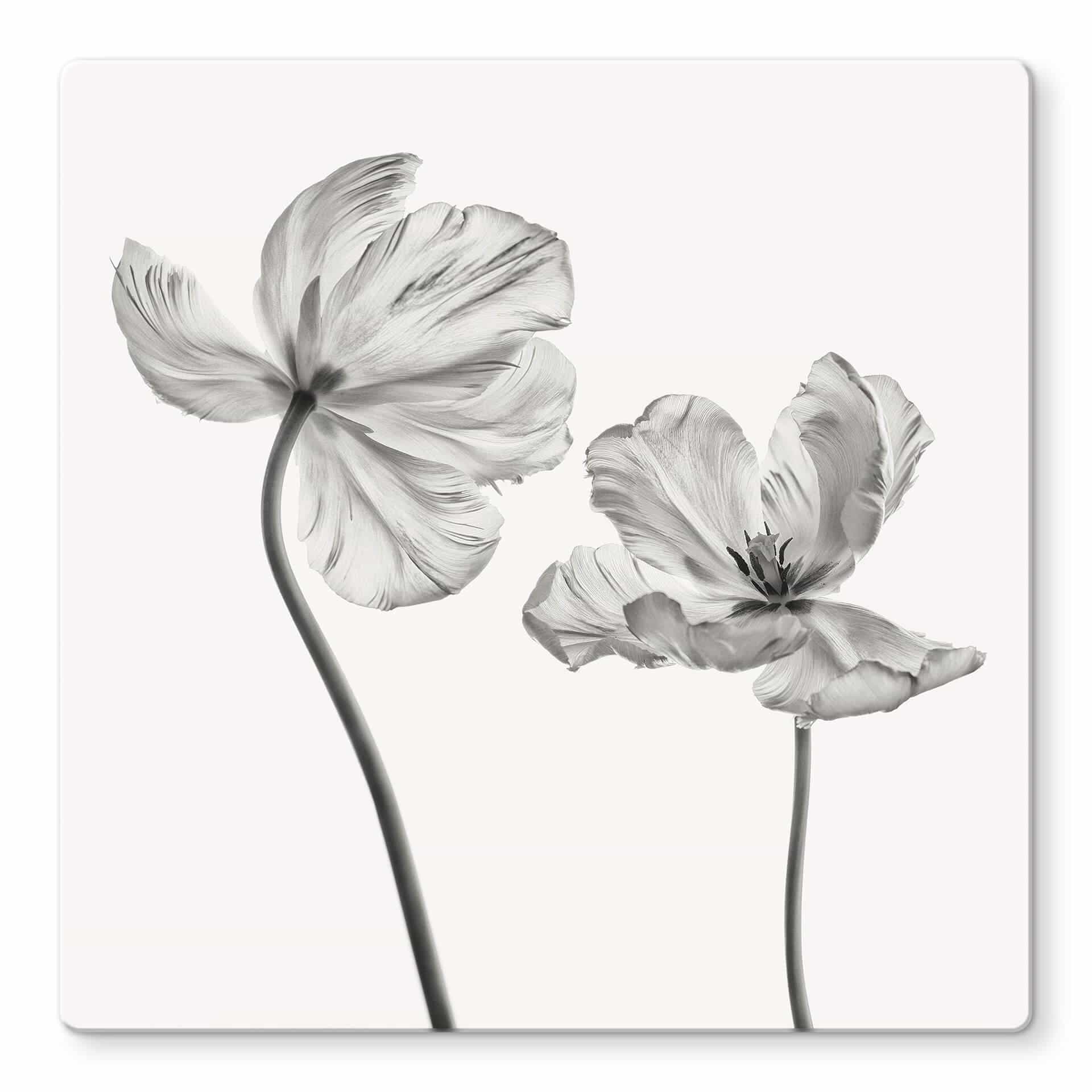 Tableau en verre Grønkjær - Tulipes