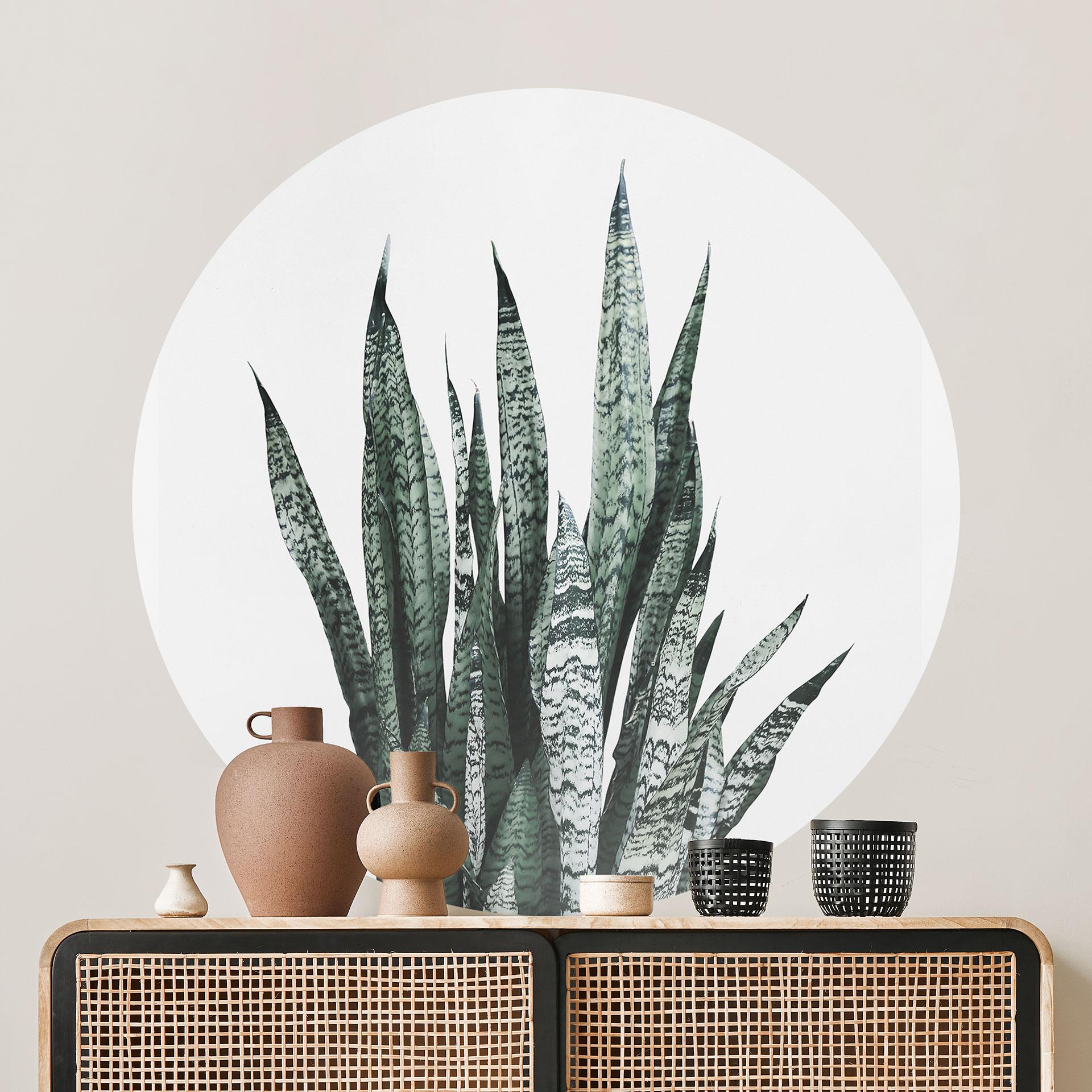 Wall Sticker Plante - Sisi & Seb