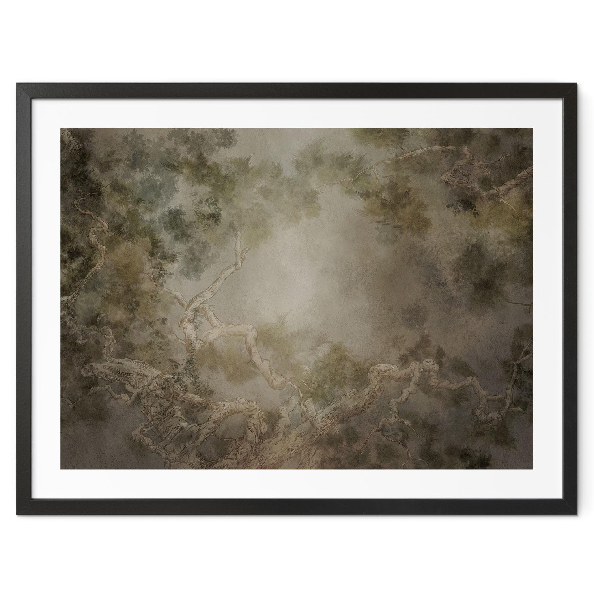 Poster Wald mit Blick in die Baumwipfel - Ms Tiff