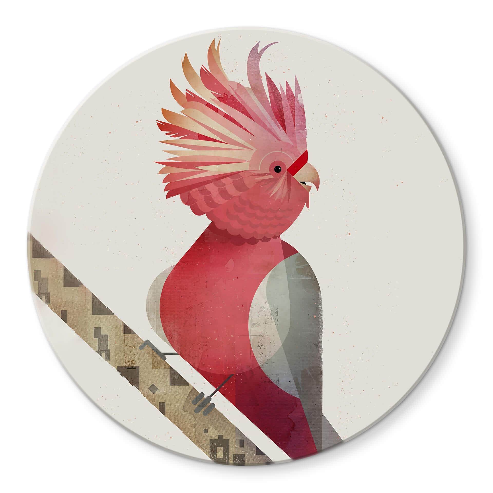 Tableau sur verre rond Braun - Cacatoès rose