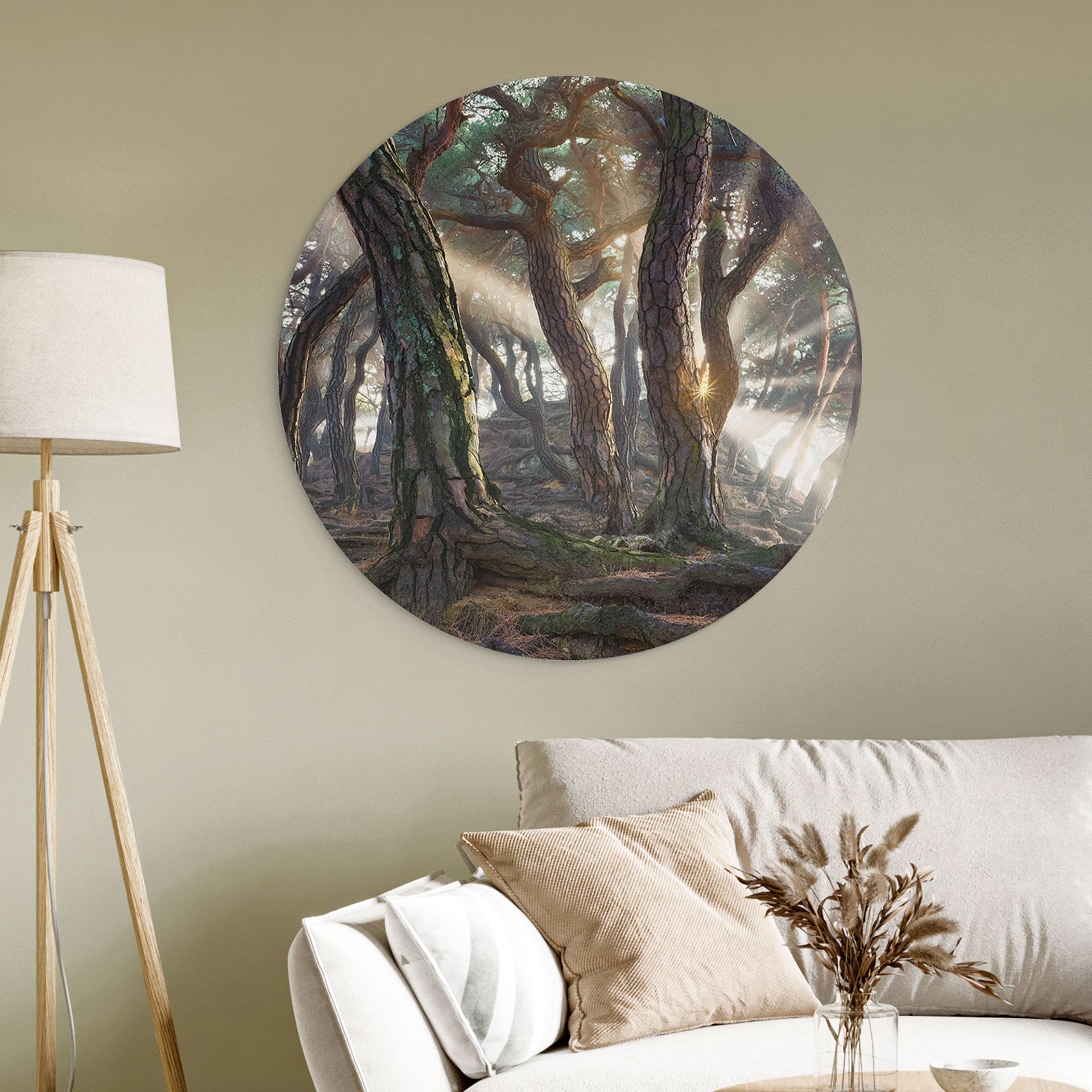 Wandbild Heiliger Kiefernwald - Ryu - Alu-Dibond - Rund