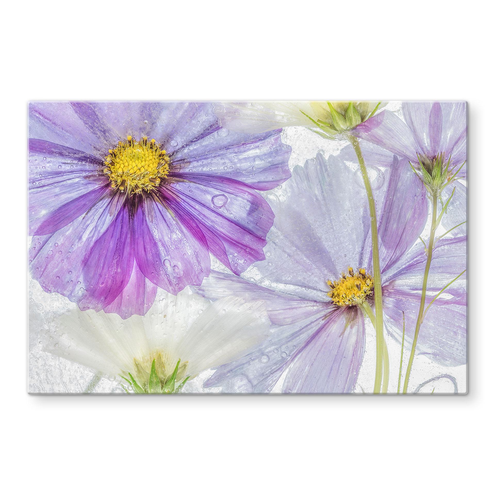 Stænkplade - Disher - Frozen Flowers