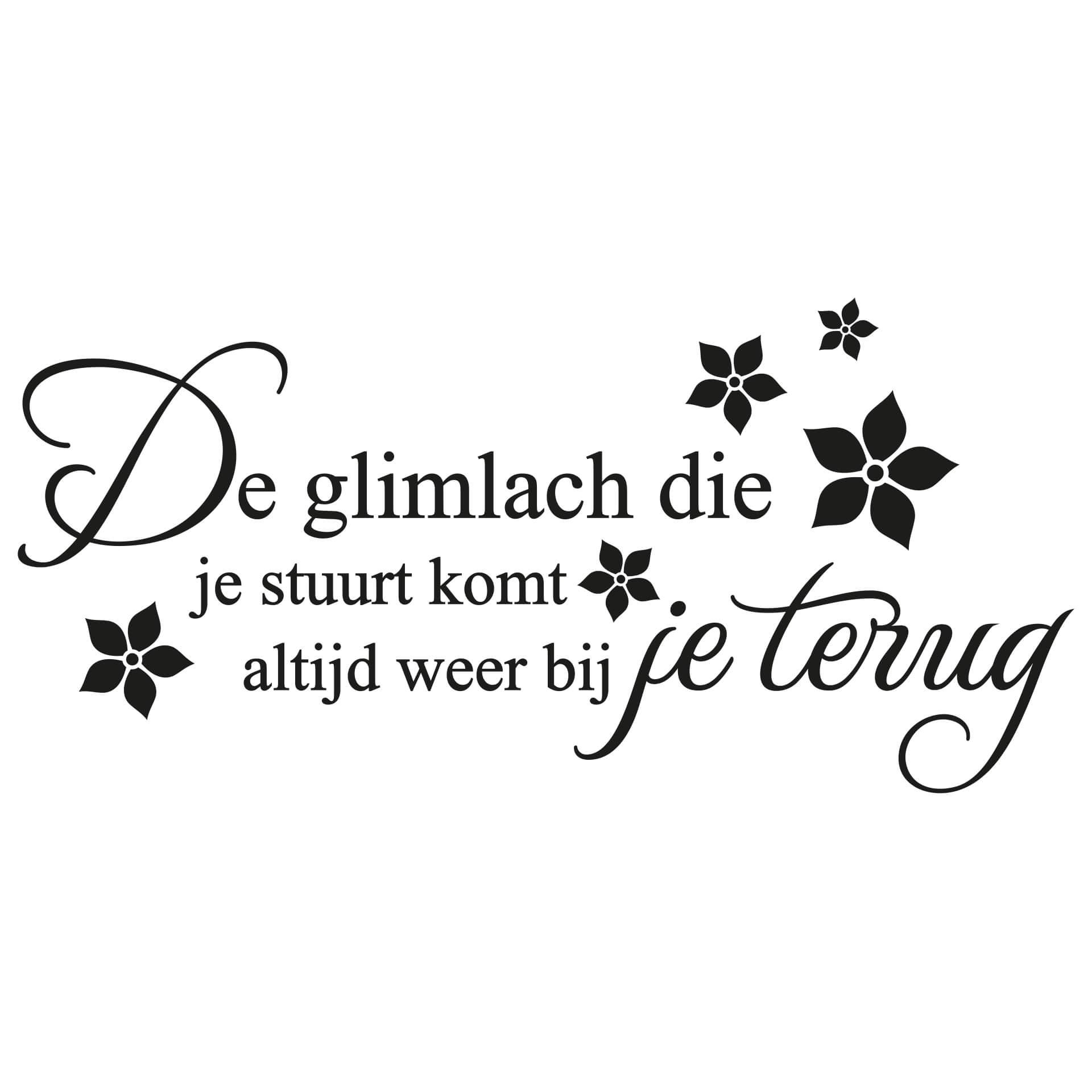 Wandtattoo De glimlach die je stuurt...