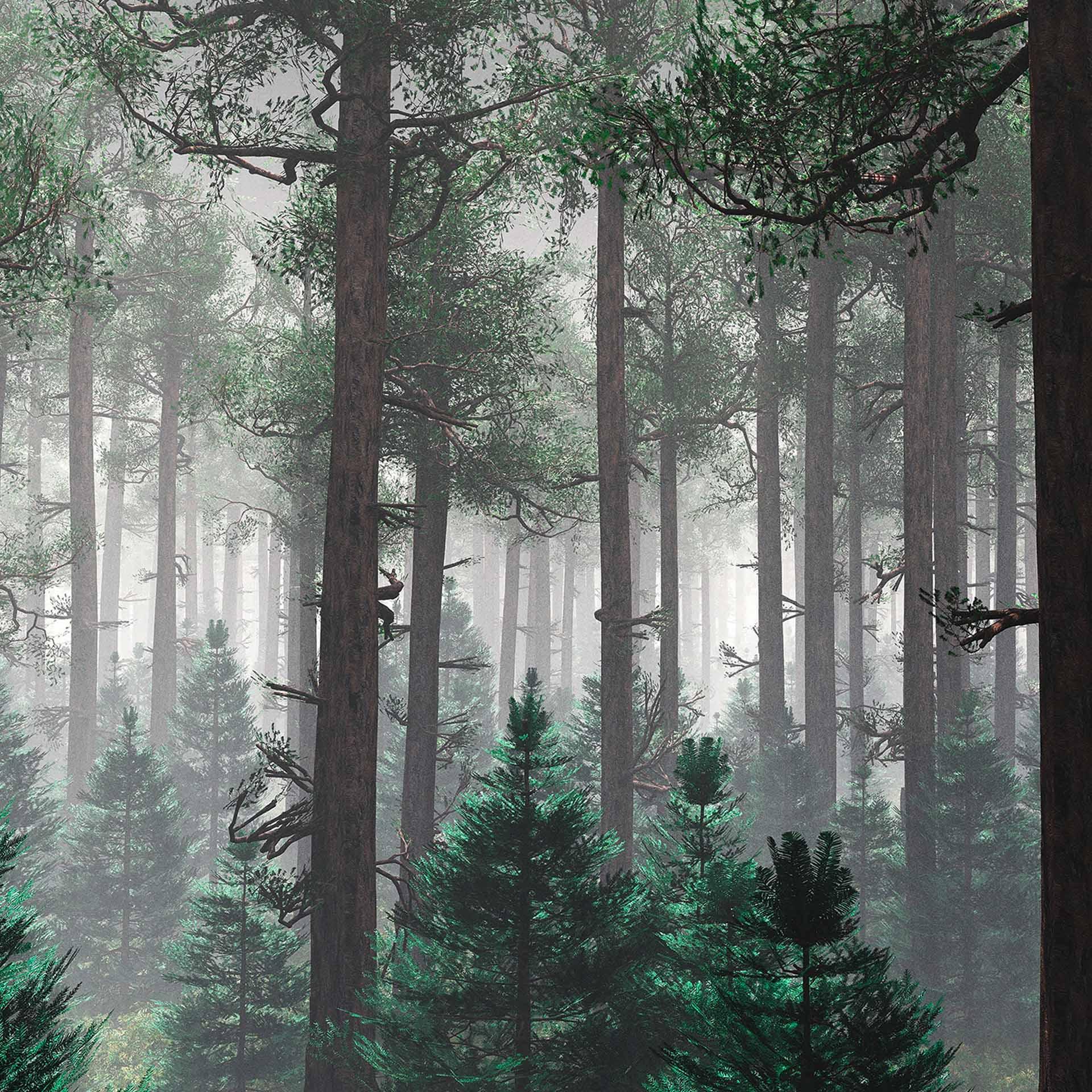 Trees In Fog bosbehang in grijsgroen - vliesbehang Designwalls 2 - 2,55 x 3,5 m