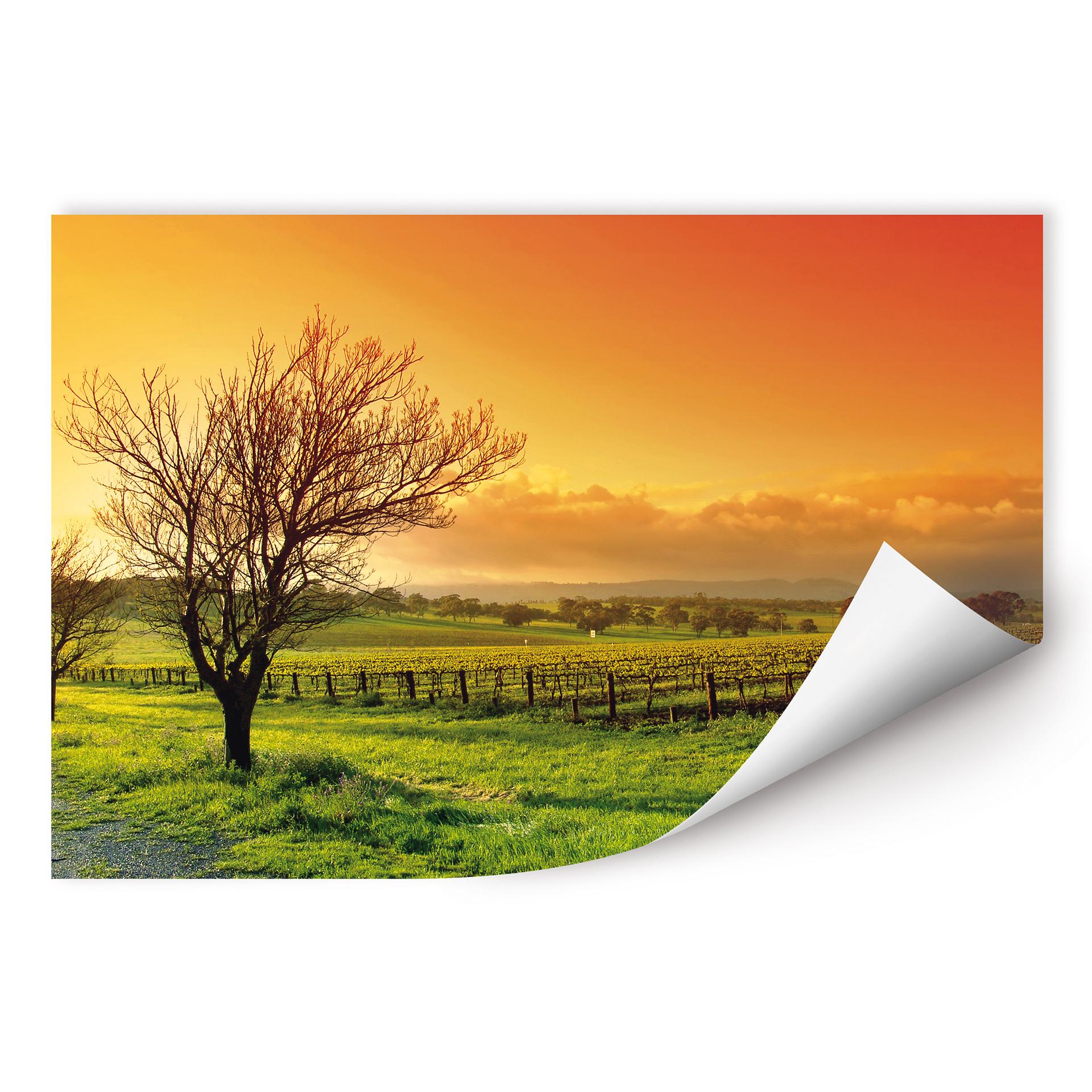 Poster autocollant - W - Paysage de Vignes