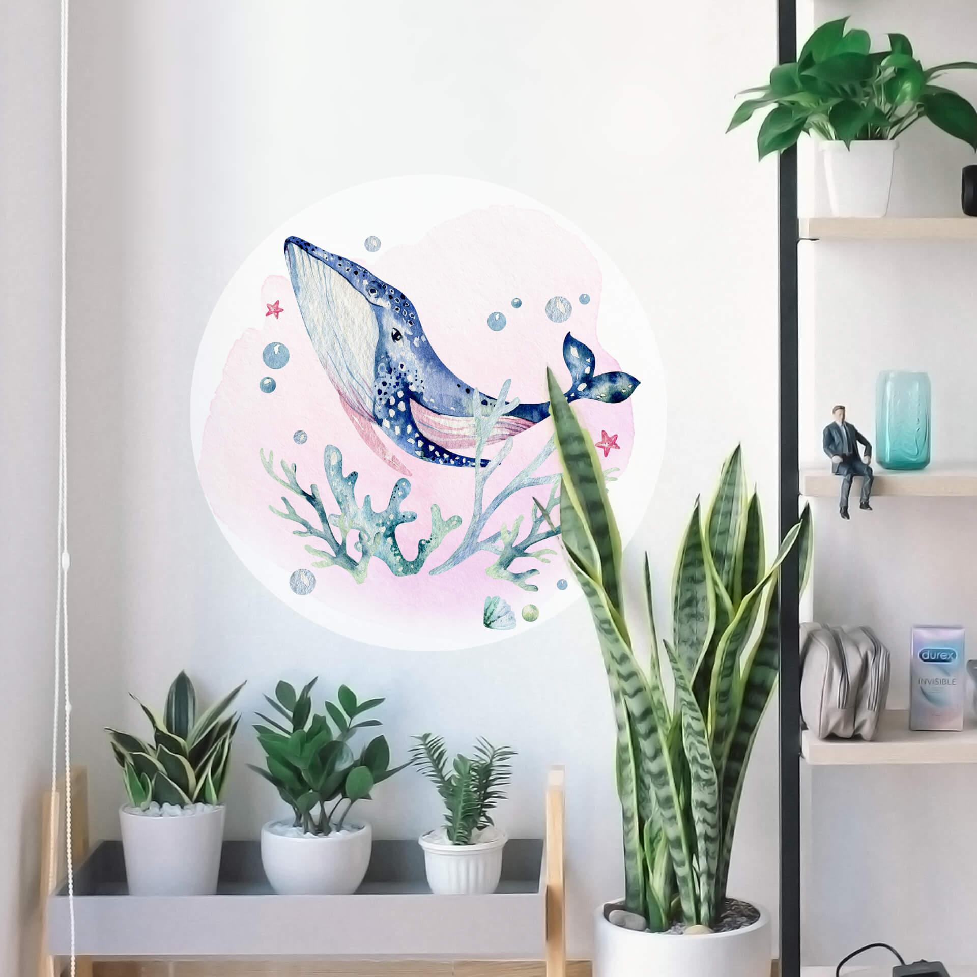 Sticker mural Kvilis - Orque curieuse - Rond