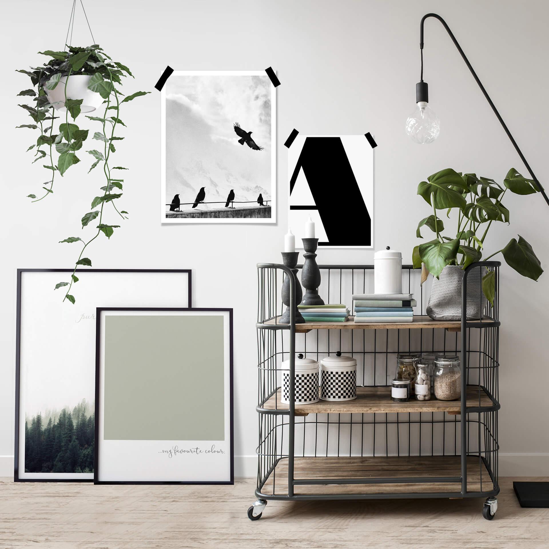 Plakat Vogelfrei