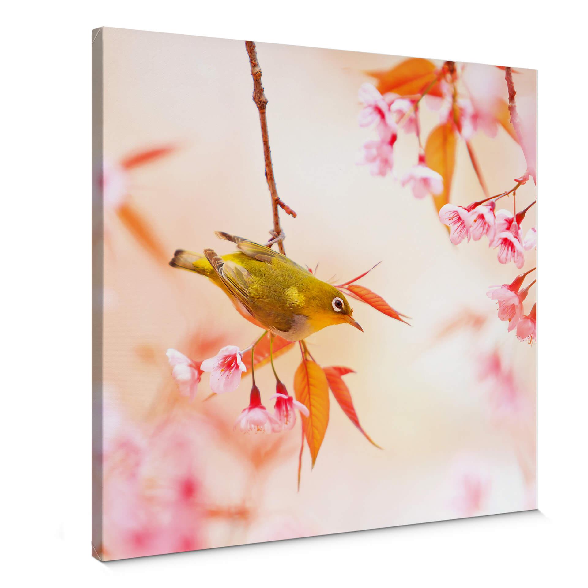 Lienzo Birdsong in the cherry blossom - cuadrado