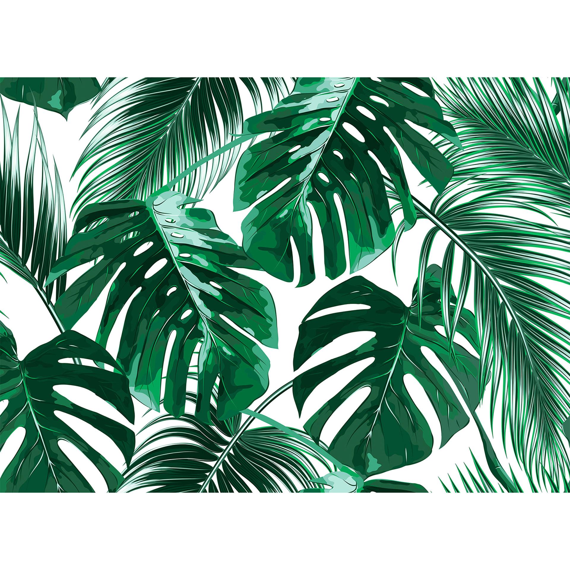 Livingwalls Fotobehang Designwalls Palm Leaves