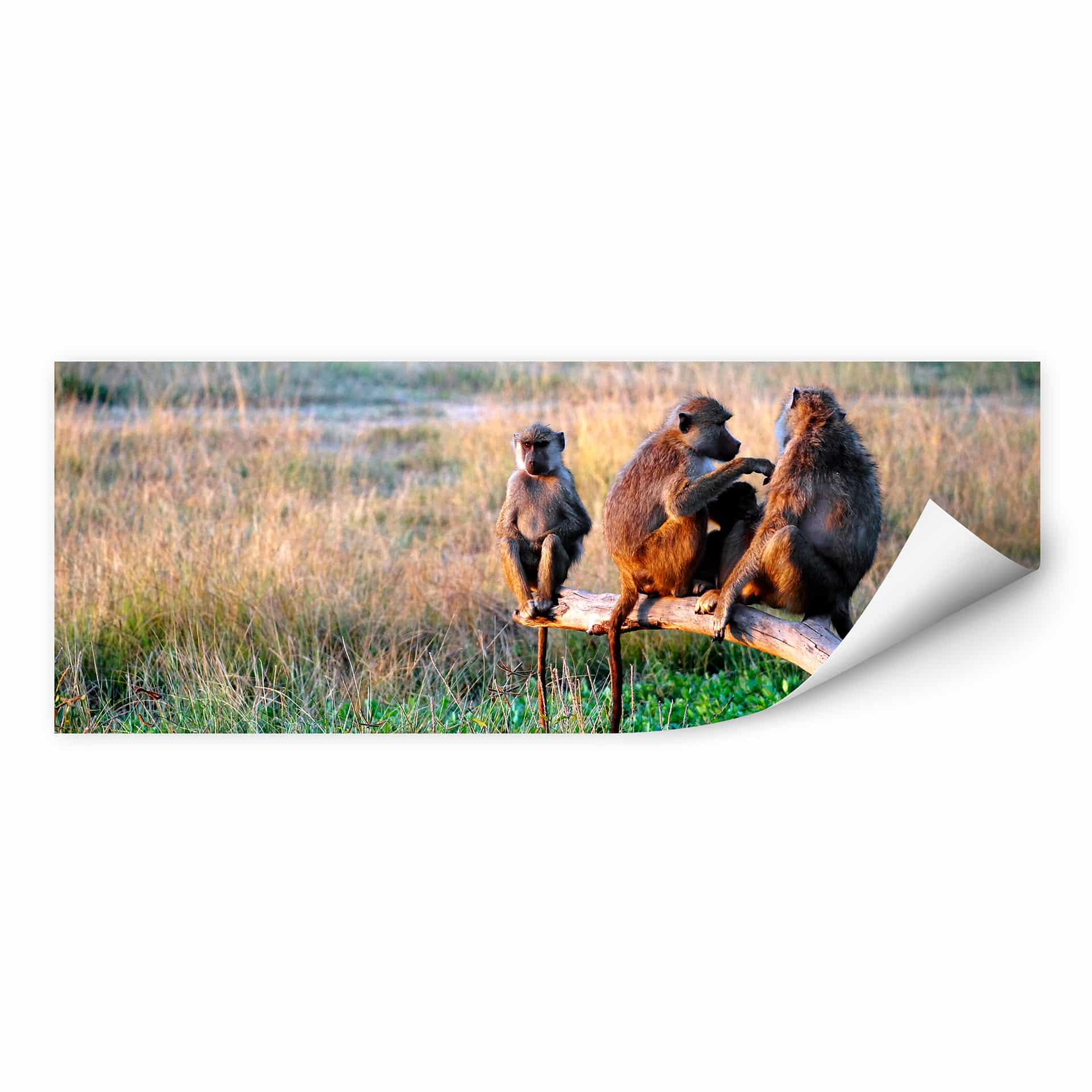 Wallprint W - Affenbande - Panorama
