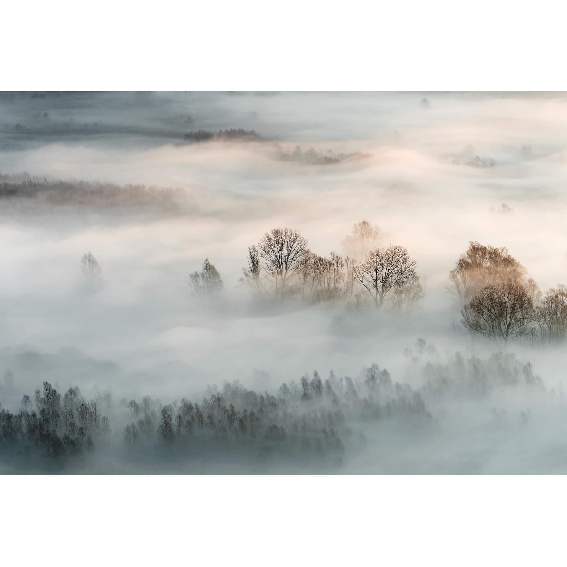Fotobehang Galimberti - Winter Fog