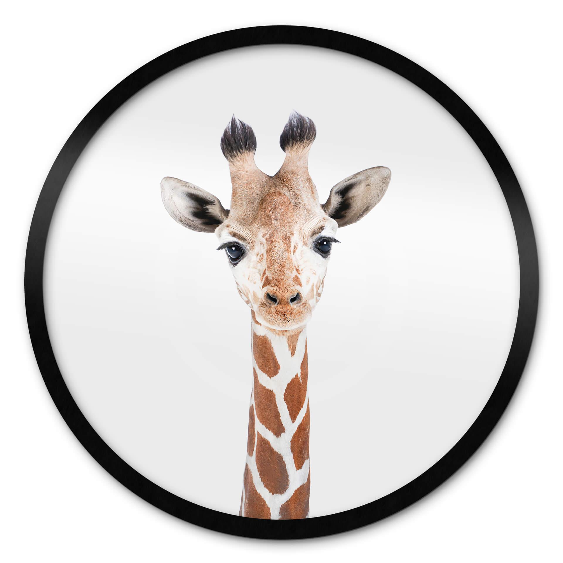 Poster Sisi & Seb - Baby Giraff - Rund