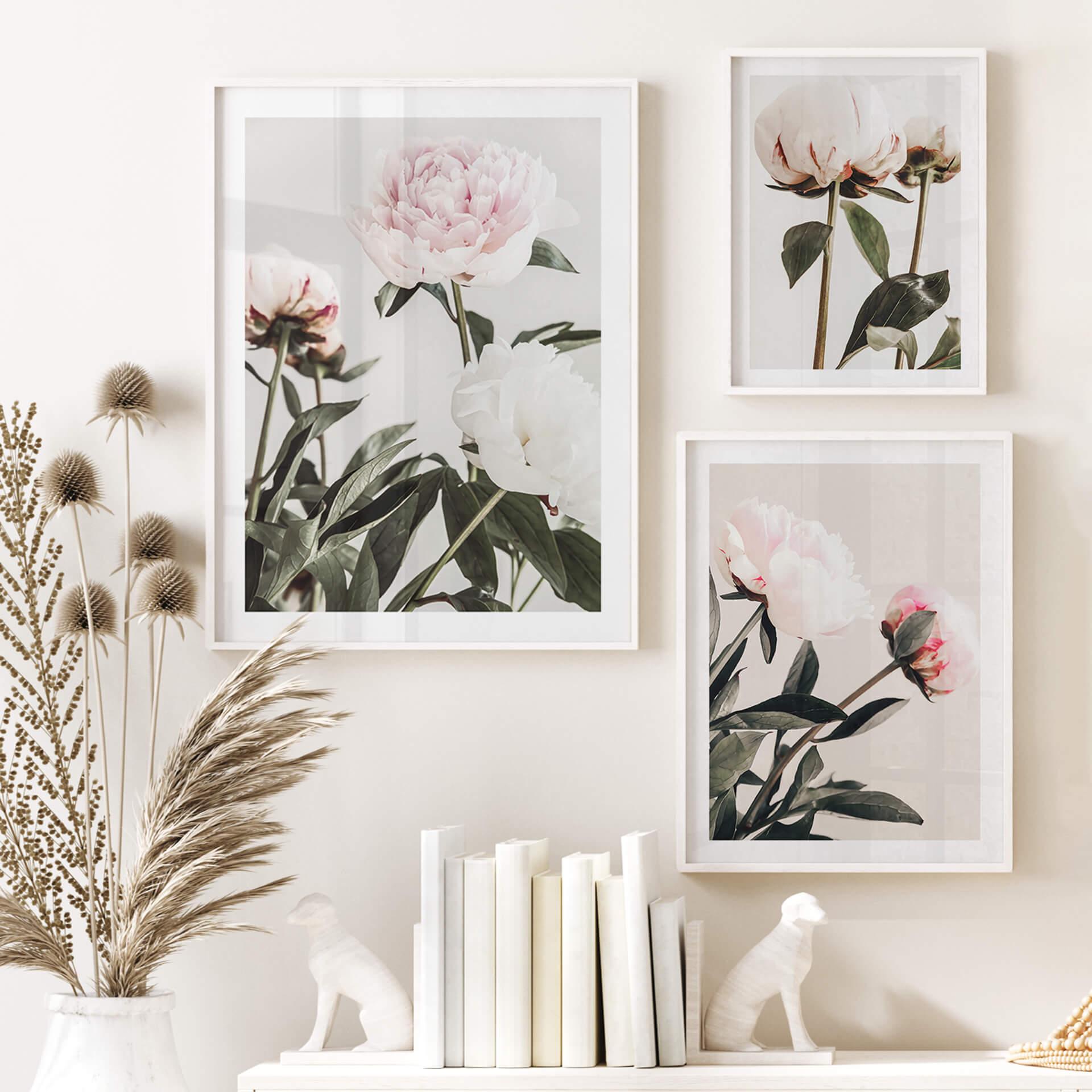 Poster 1X Studio - Prachtige Rozen