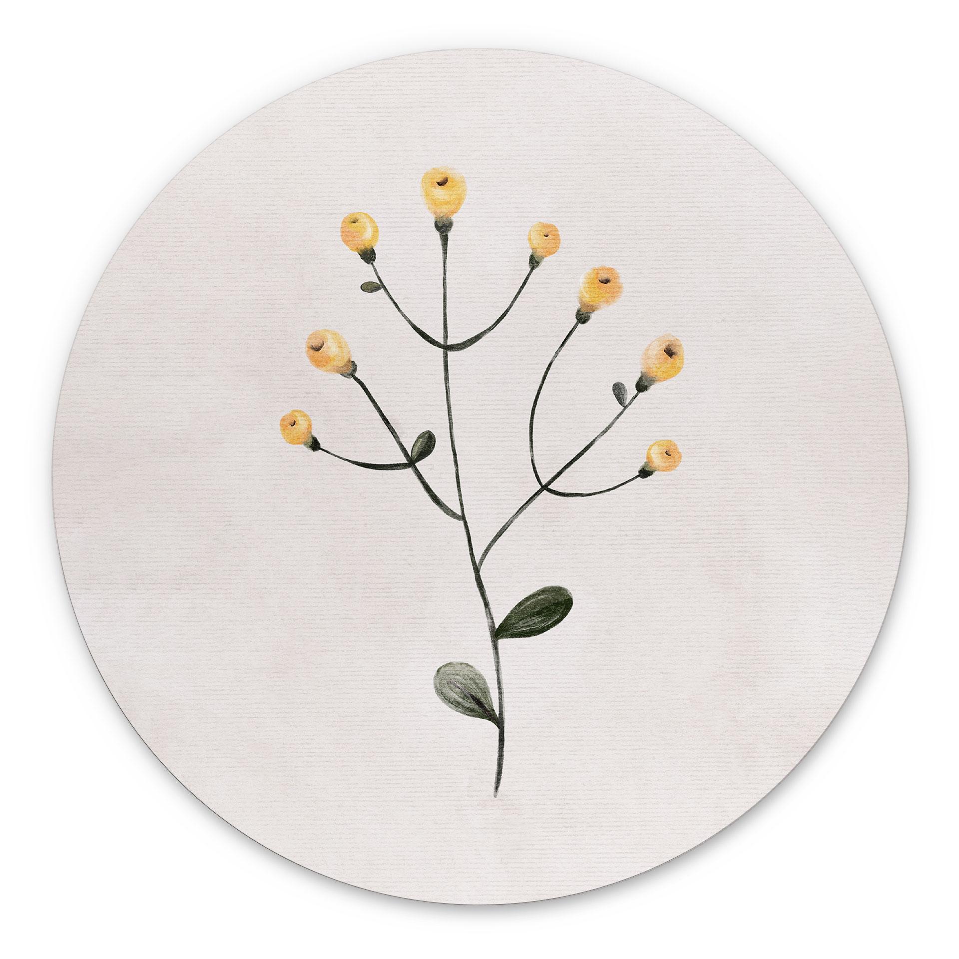 Billede Delikat plante med gule blomster - Goed Blauw - rund – print på aluminium (Alu-Dibond)
