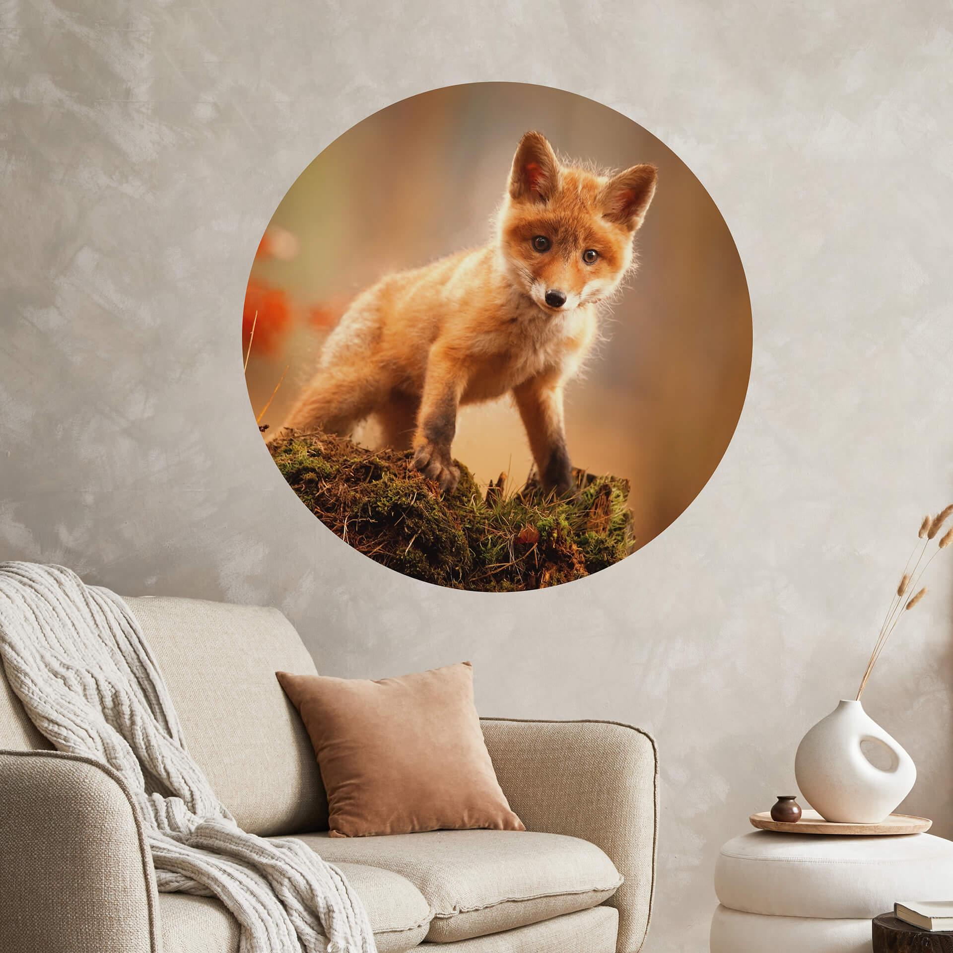 Adamec Wallsticker - Ung ræv i skoven - Rund
