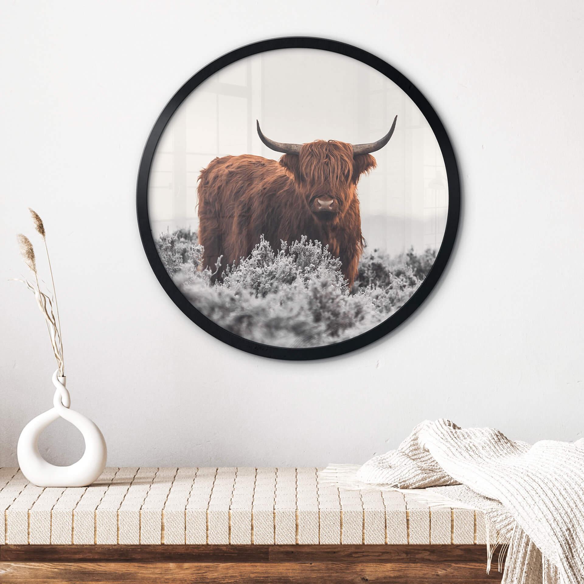 Plakat van den Helm - Highlander