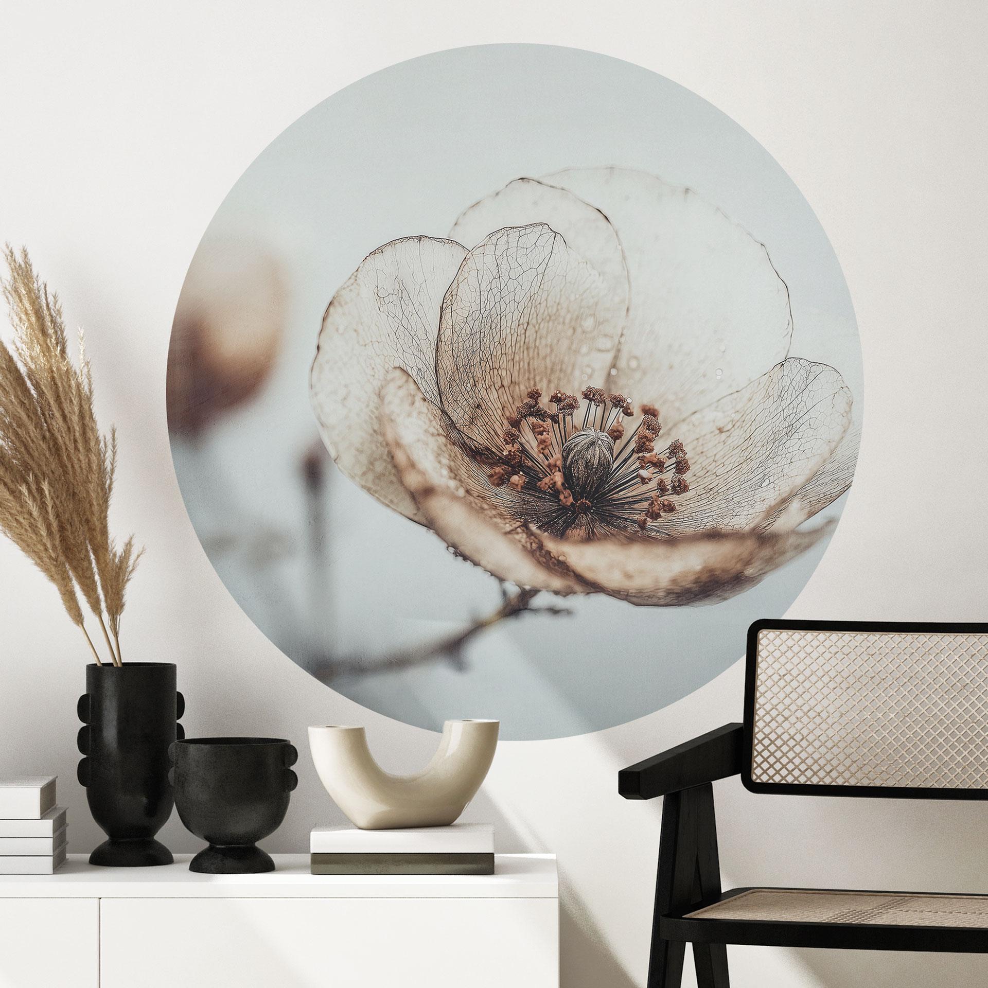 Wallsticker tørre blomster beige natur poesi - Treechild - Rund
