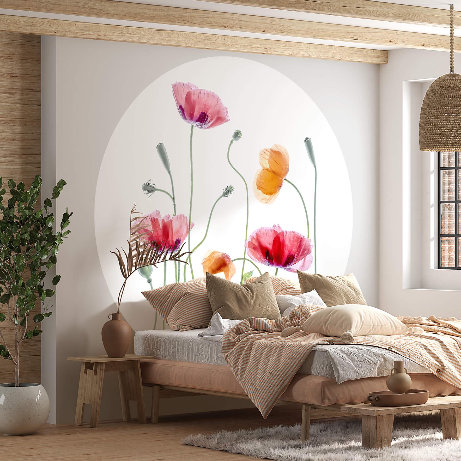 Tapet cirkel Disher - Colourful Poppies - vliesetapet/selvklæbende non-woven tapet