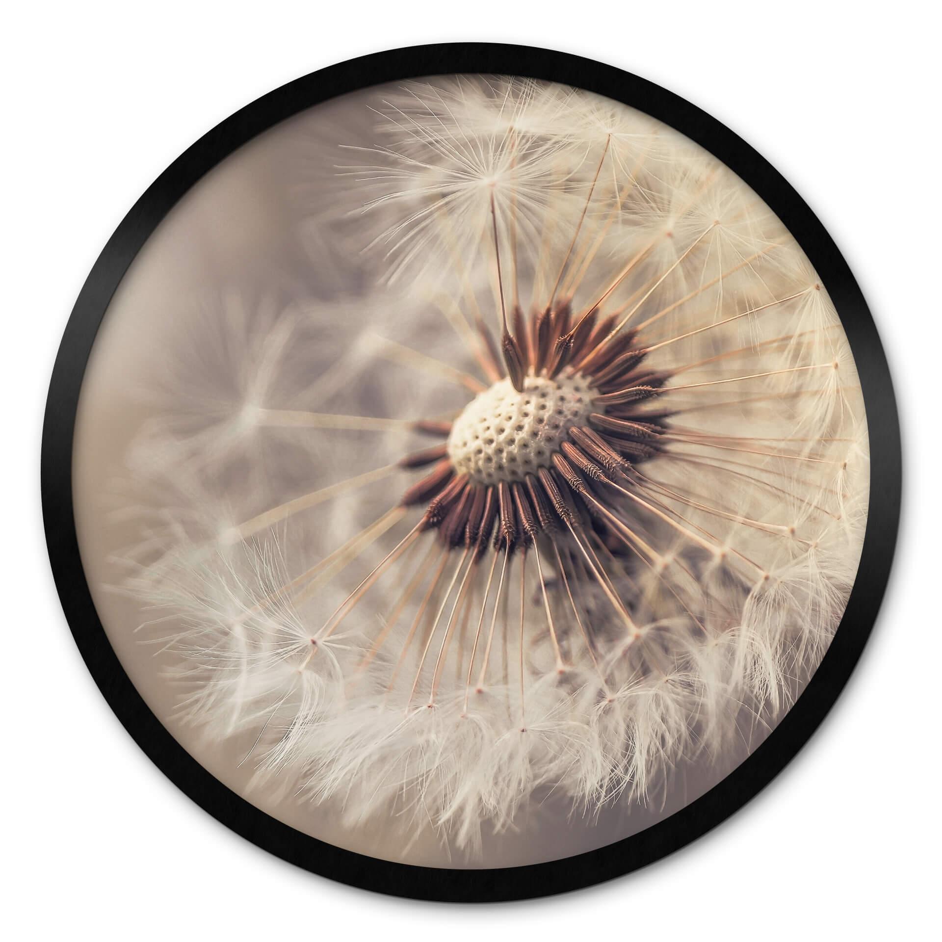 Plakat Delgado - Dandelions
