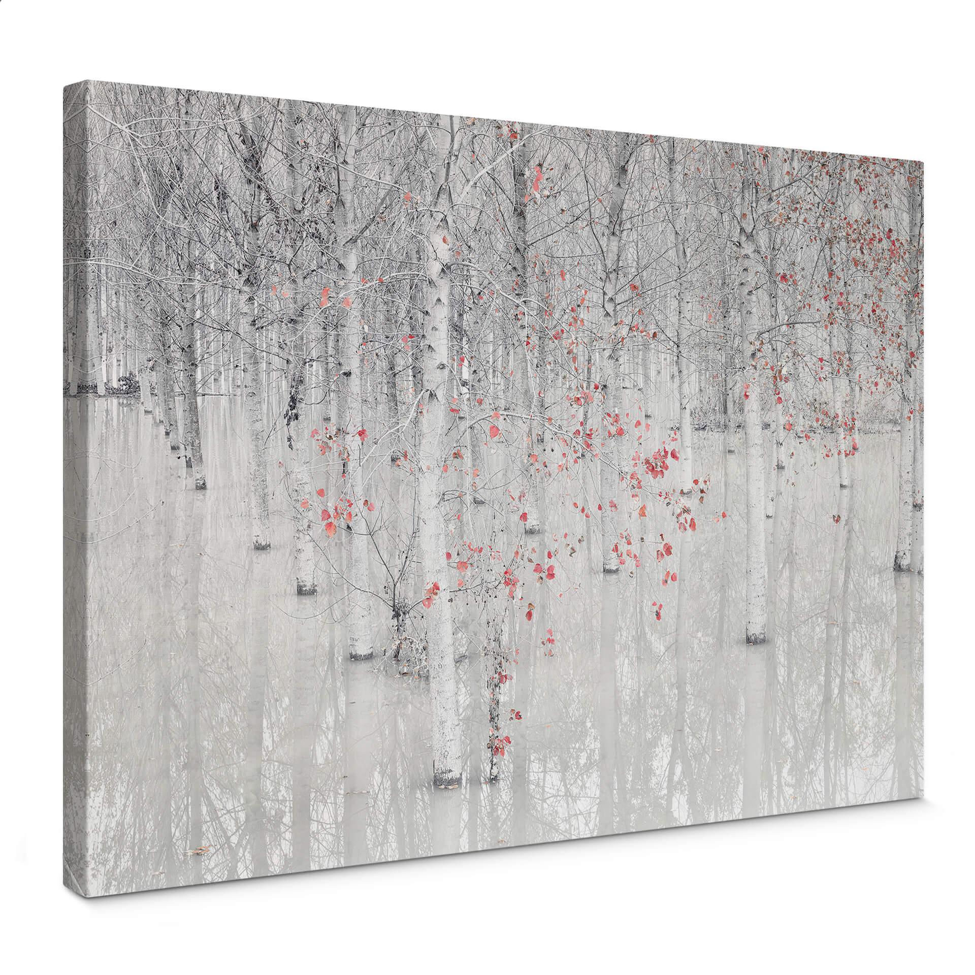 Lienzo Carozzi - Bosque de abedules blancos con hojas rojas