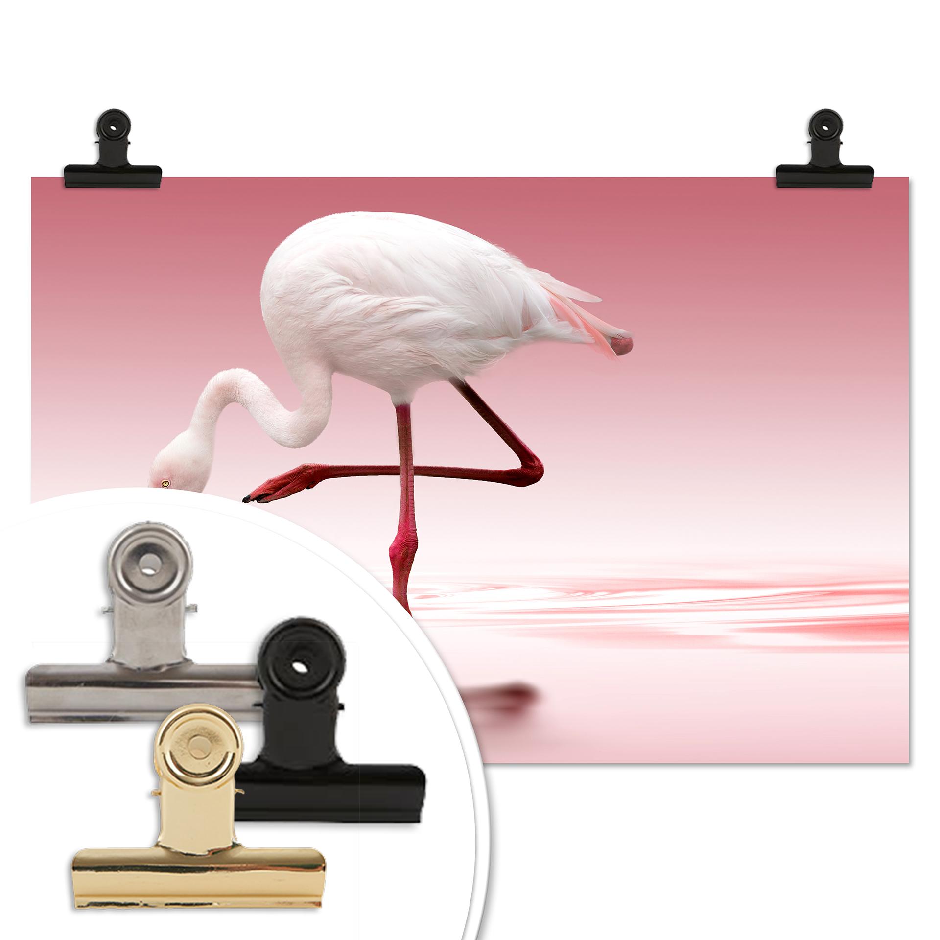 Poster Reindl - Fenicottero rosa