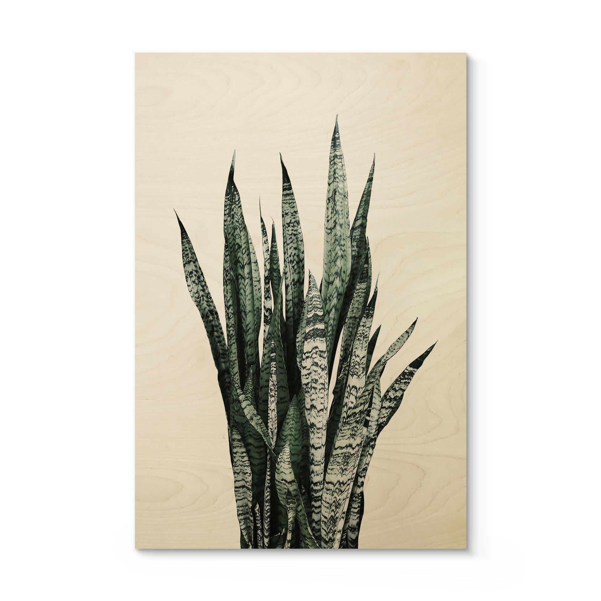 Træplakat Plante - Sisi & Seb