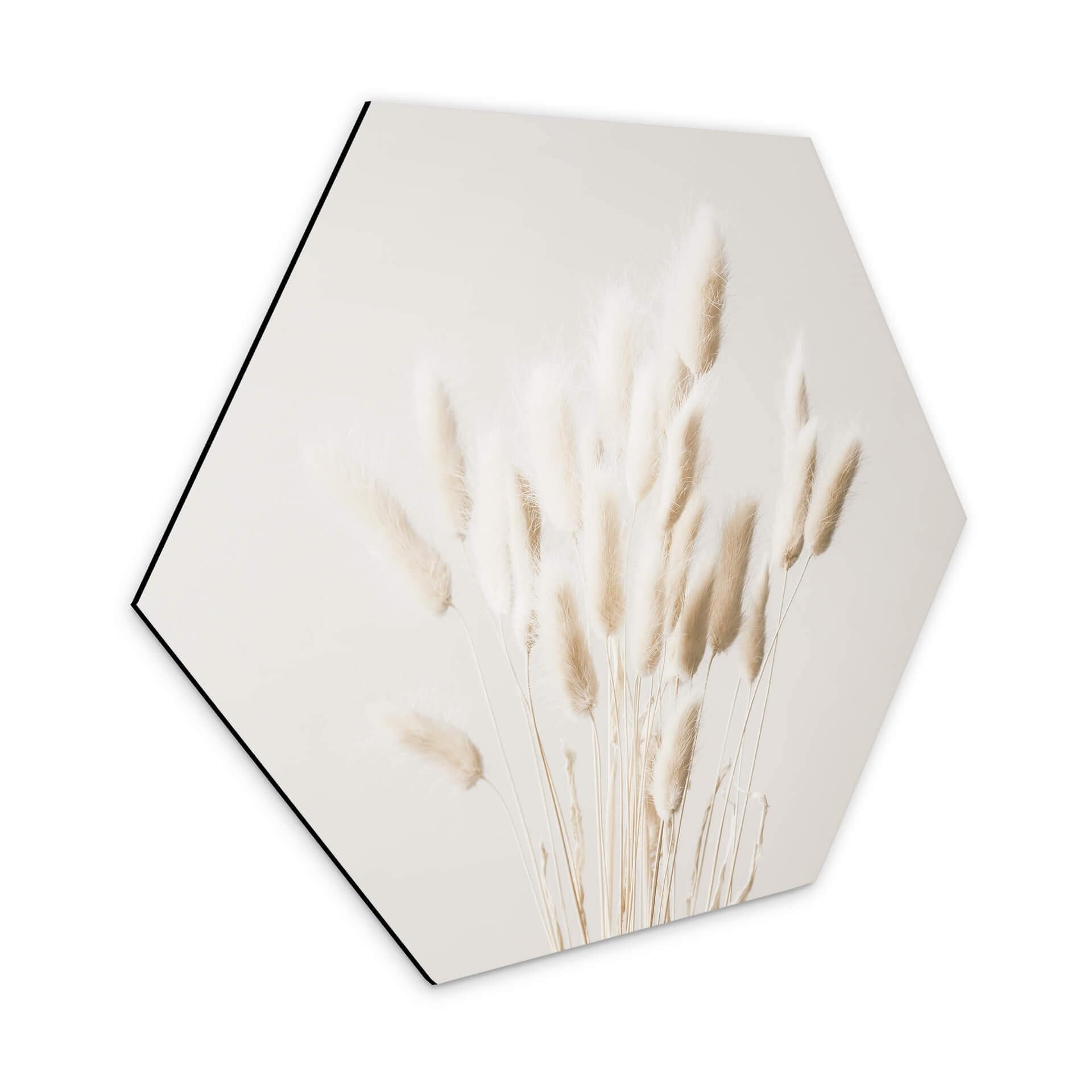 Hexagone - Alu-Dibond 1X Studio - Herbes séchées
