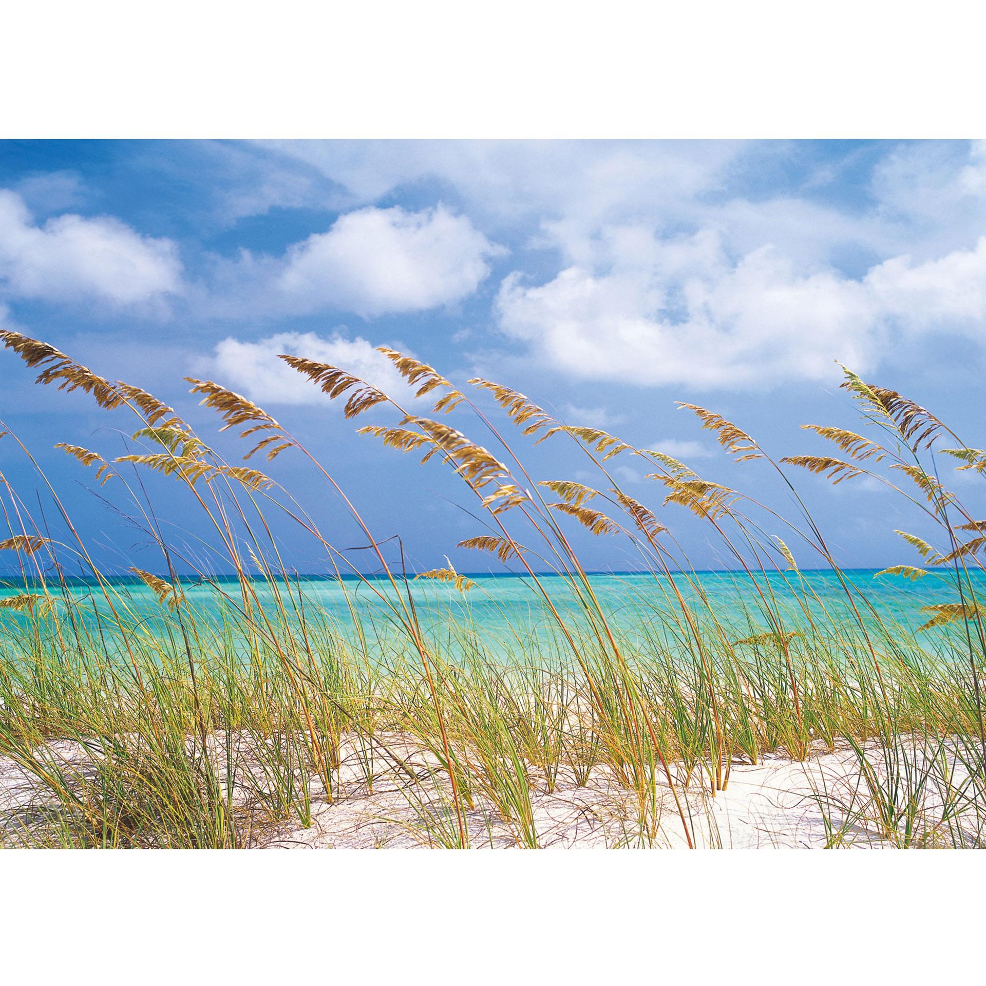 Fotobehang Papierbehang Ocean Breeze