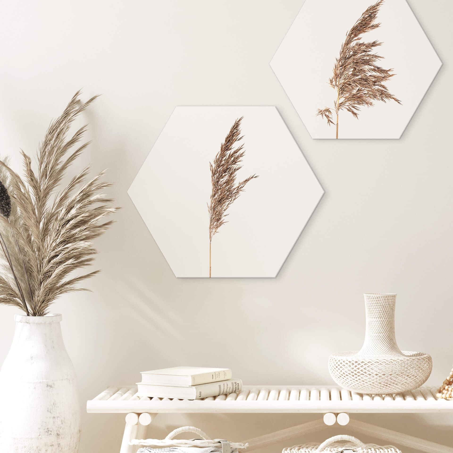 Esagoni Alu-dibond Erba ornamentale No. 1