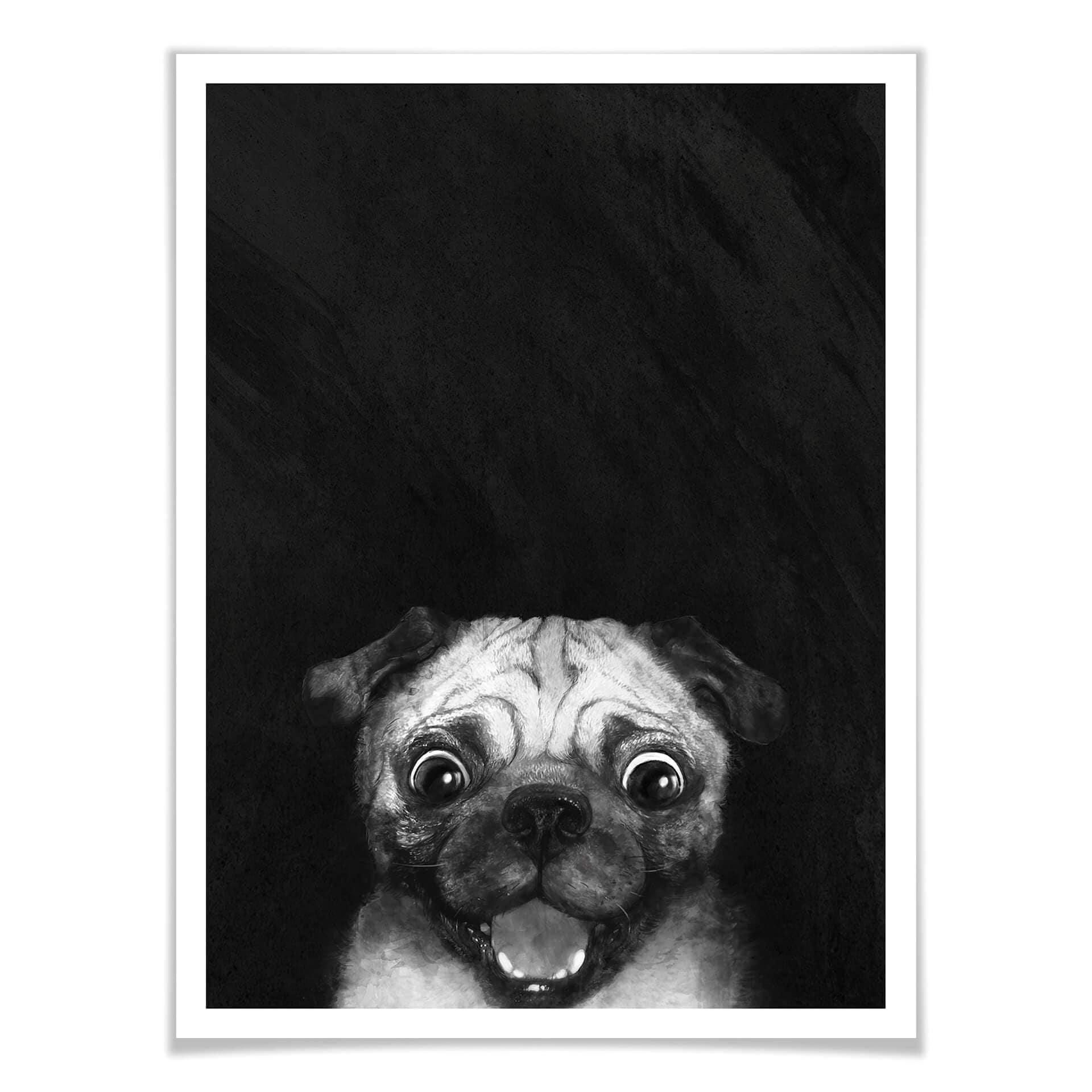 Póster Graves - Snuggle Pug