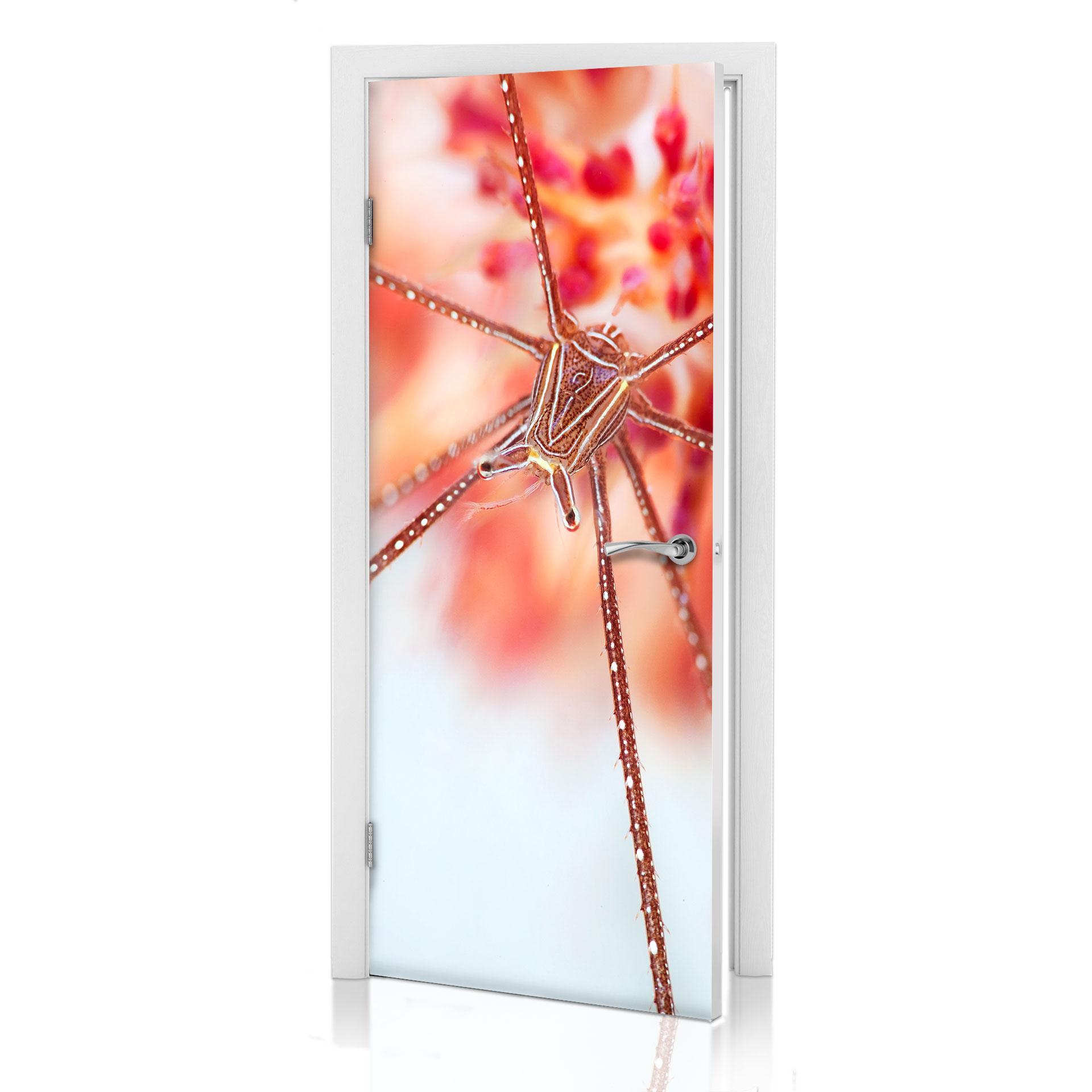 Narchuk dörrdesign - undervattens exotisk 91x200 cm